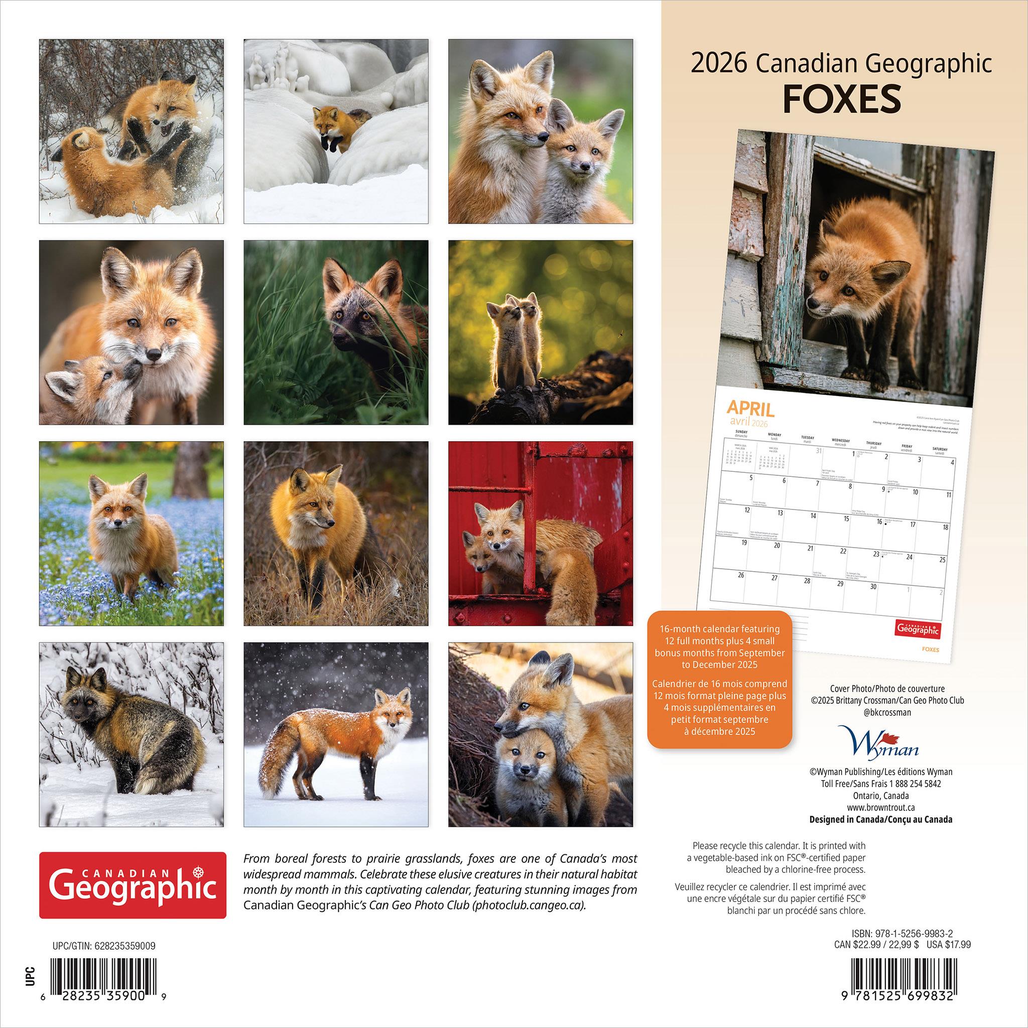 Calendrier mural Canadian Geographic Foxes 2026 - Disponible uniquement en ligne