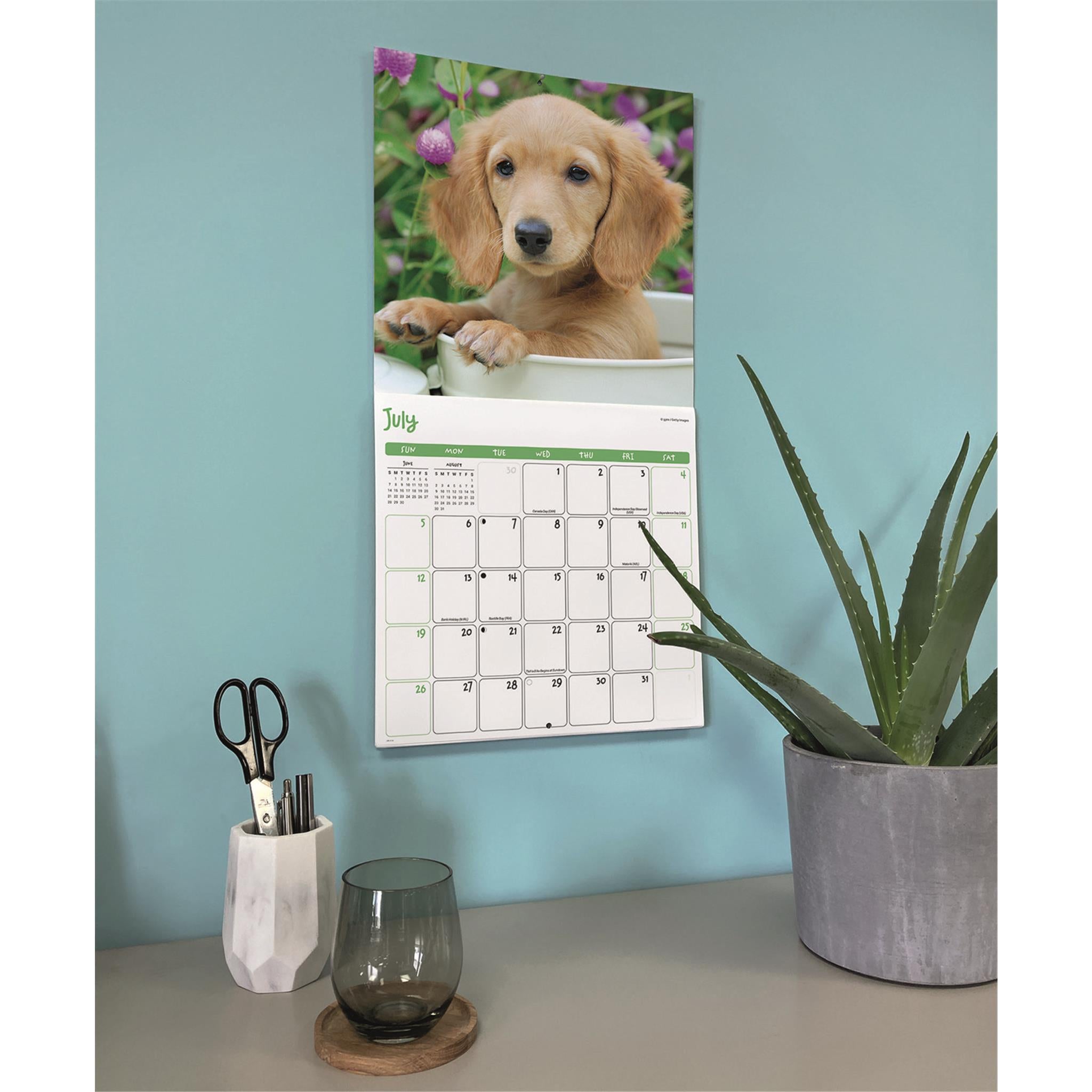 Calendrier mural Chiots 2026