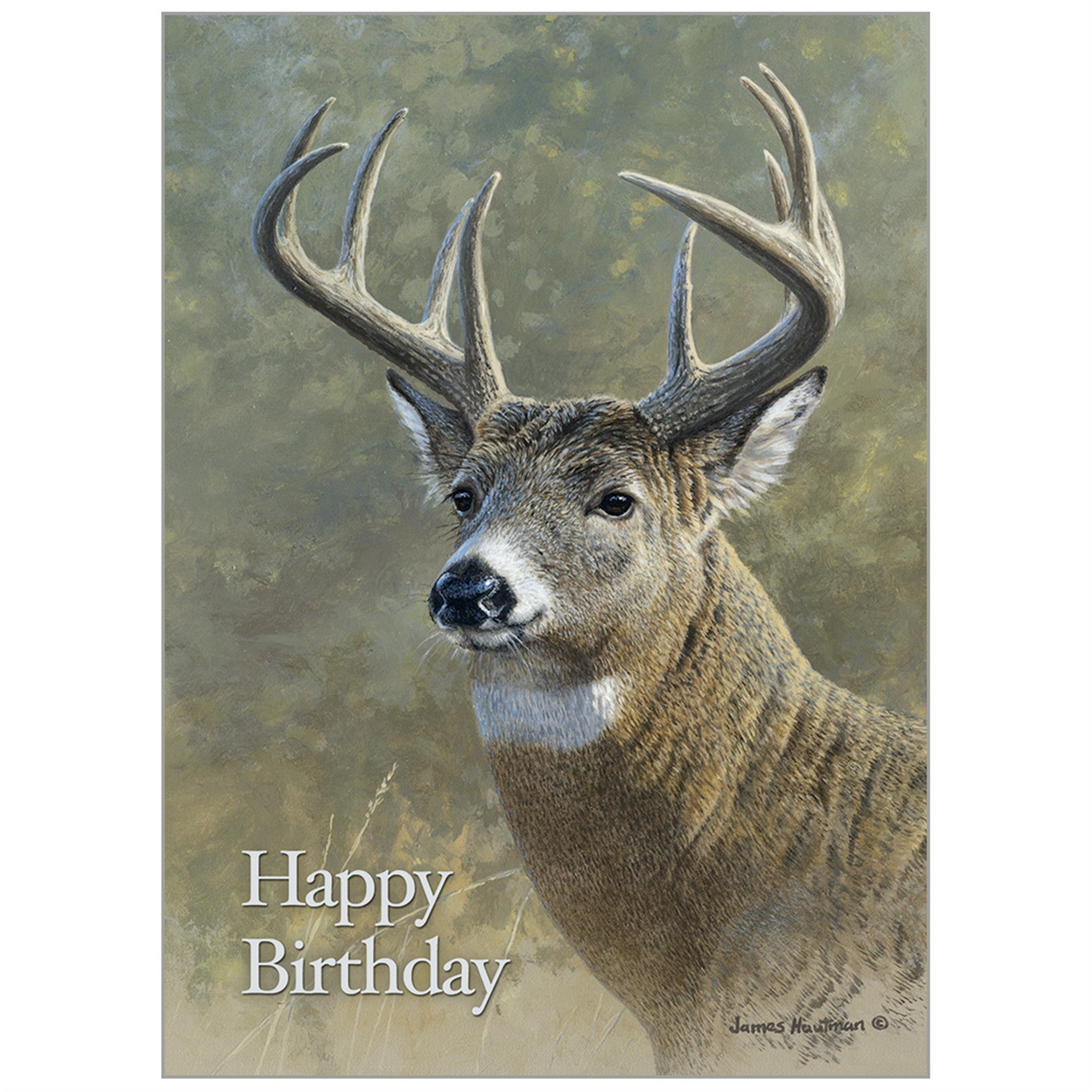 Wildlife Special Edition 2027 Wall Calendar