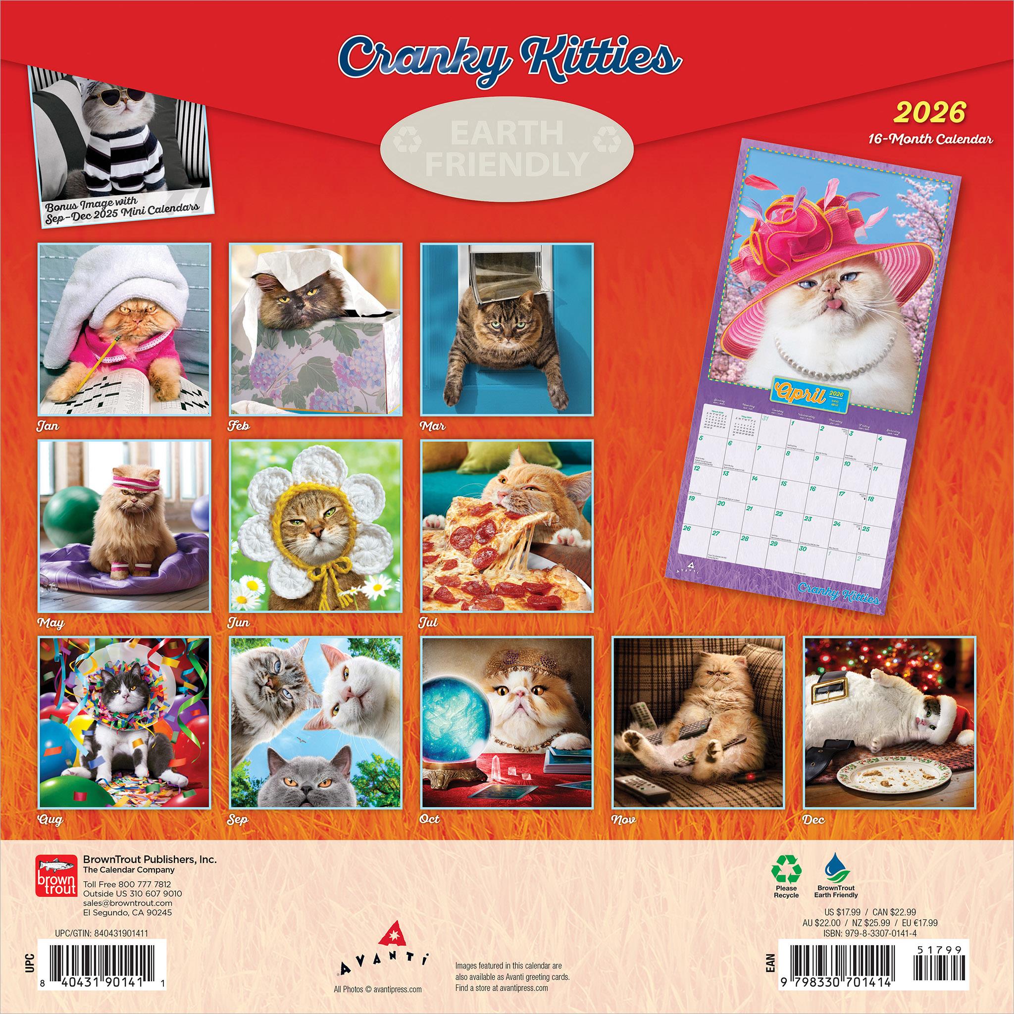 Calendrier mural Avanti Cranky Kitties 2026 - Disponible uniquement en ligne