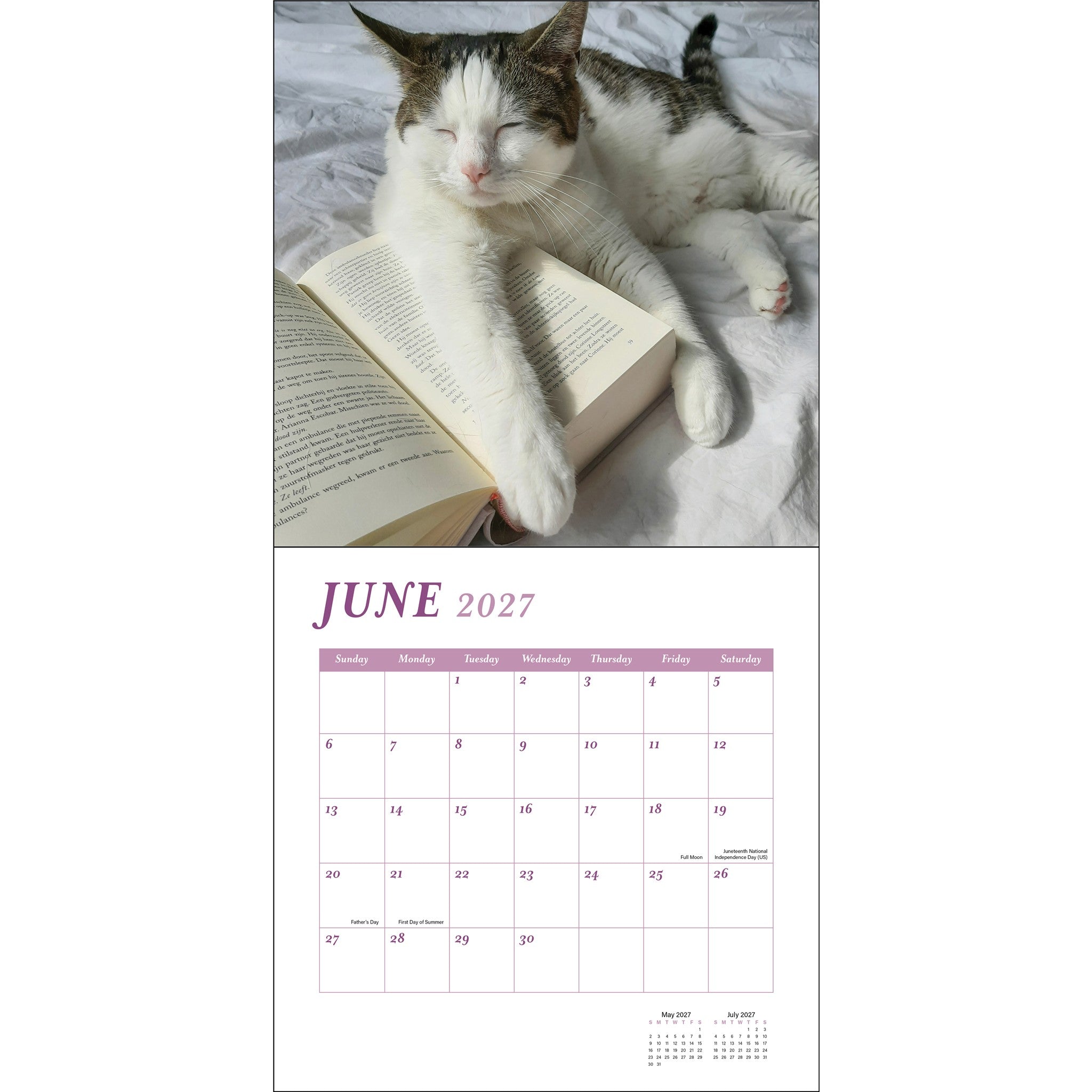 Cats and Books 2027 Wall Calendar