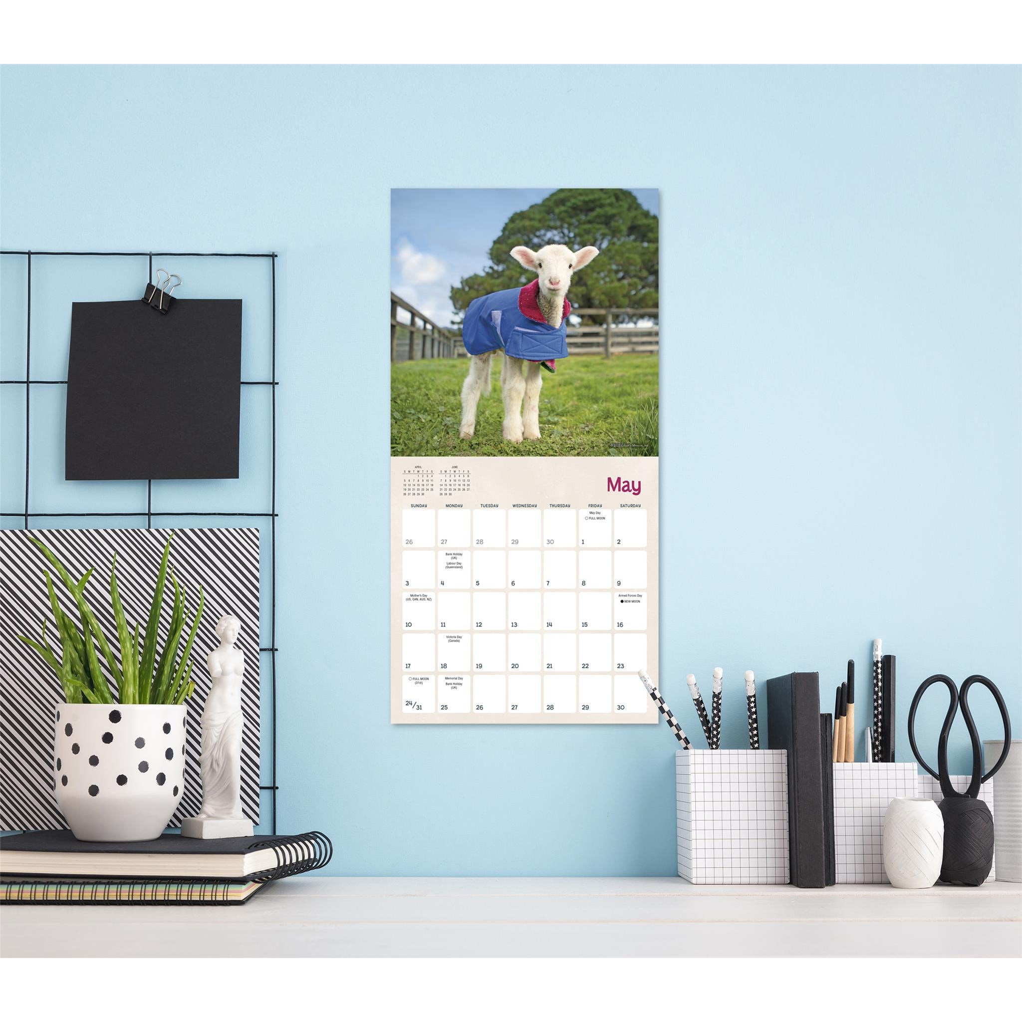 Mini-calendrier 2026 : Agneaux en pyjama et chèvres en manteau