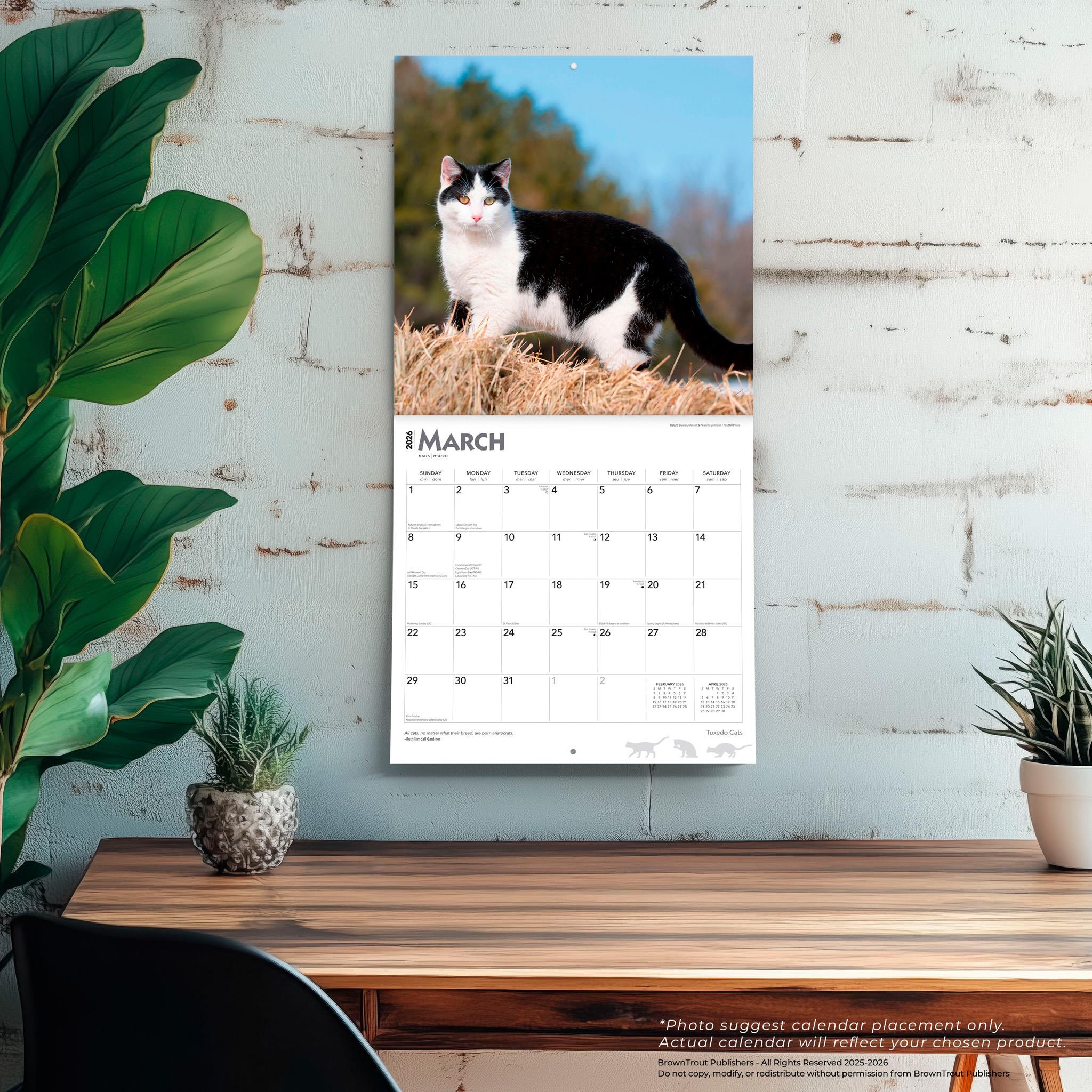 Calendrier mural Tuxedo Cats 2026