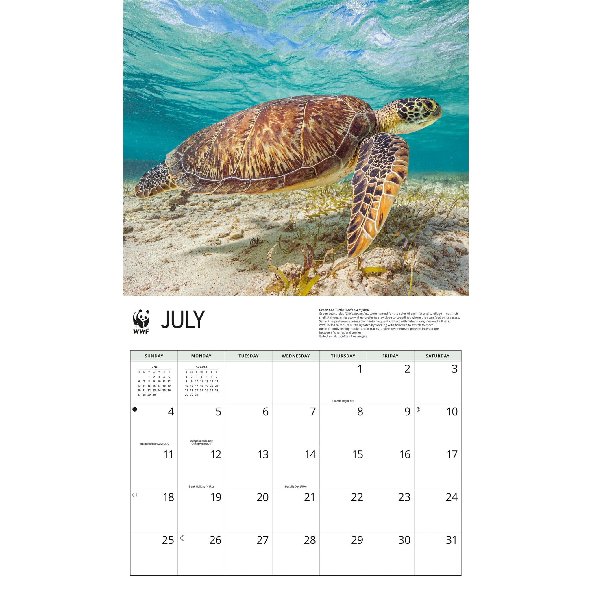 Calendrier mural Tortues marines du WWF 2027