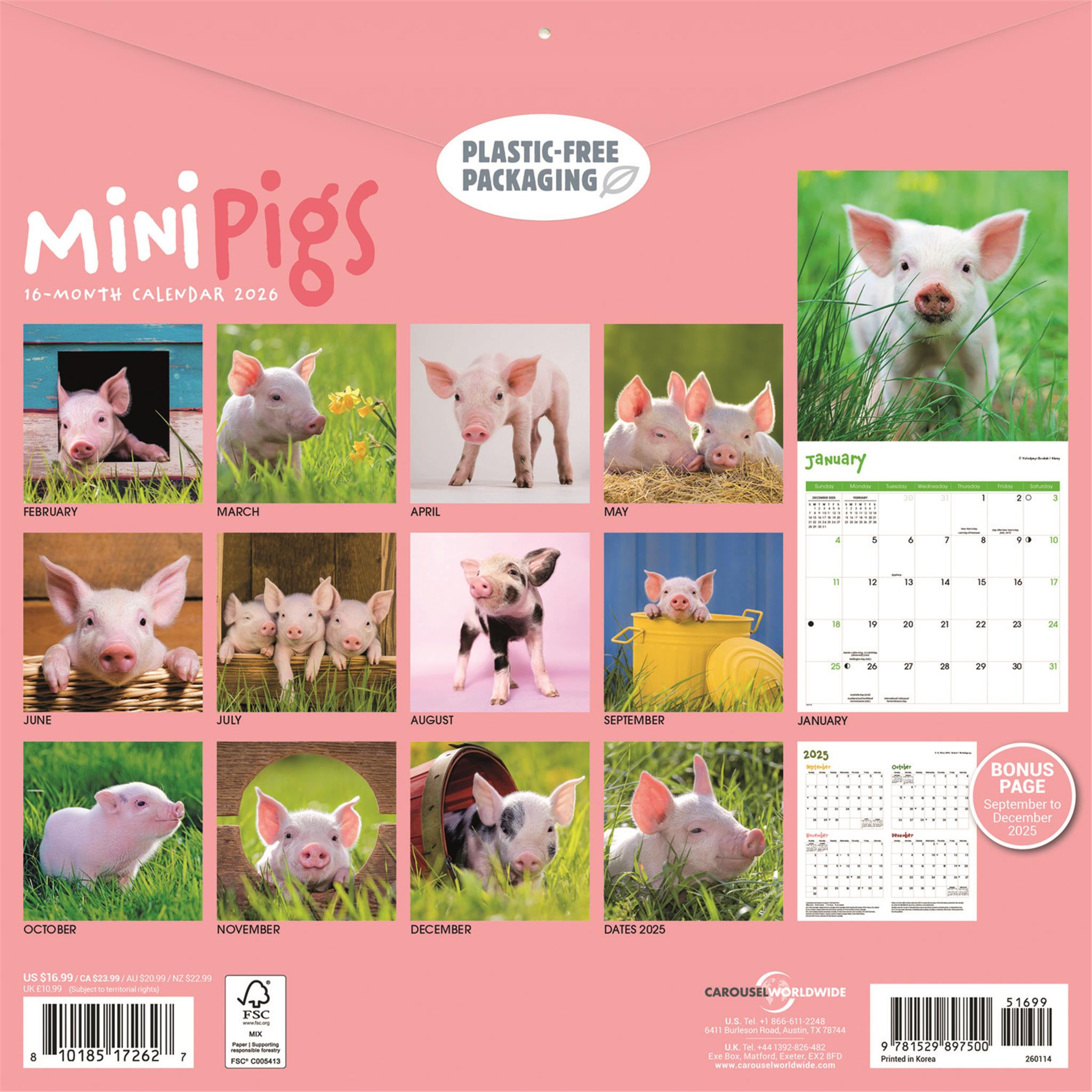 Calendrier mural Mini Cochons 2026