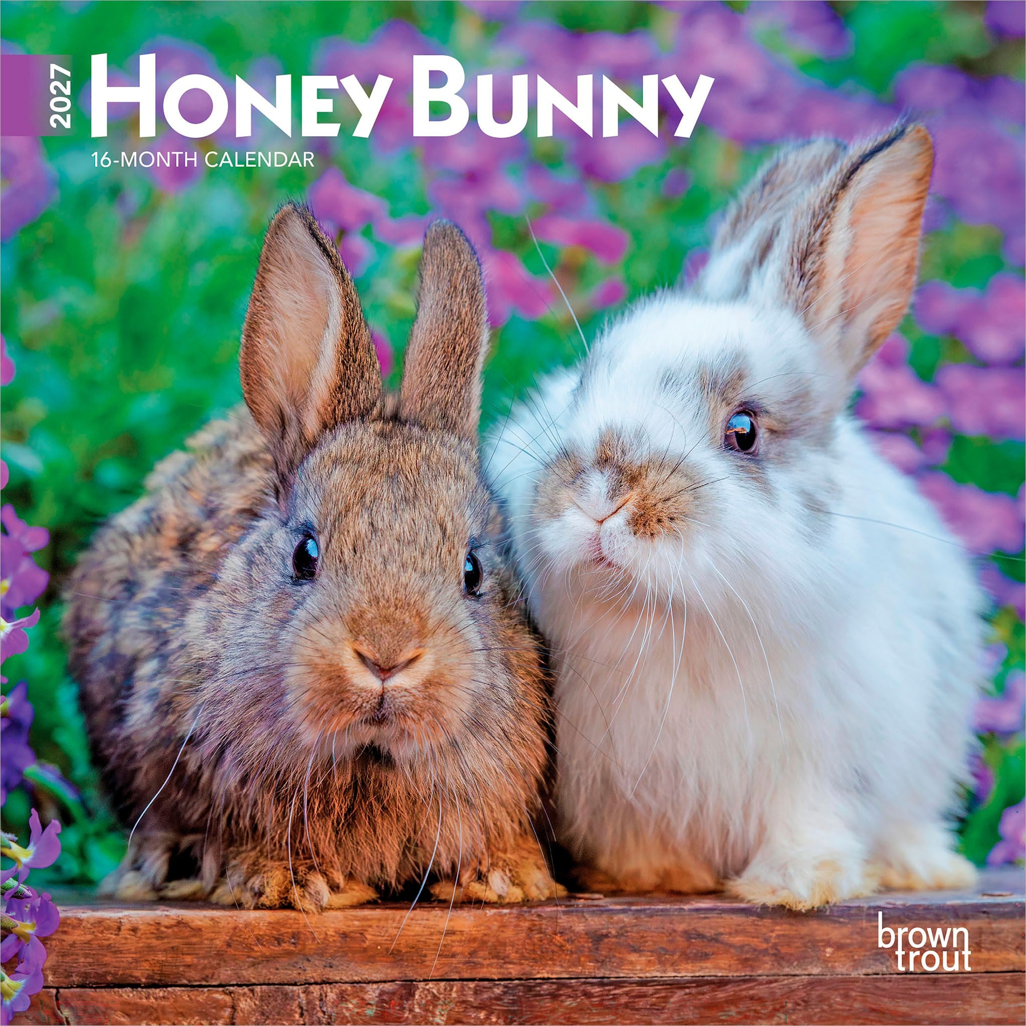 Honey Bunny 2027 Mini Calendar