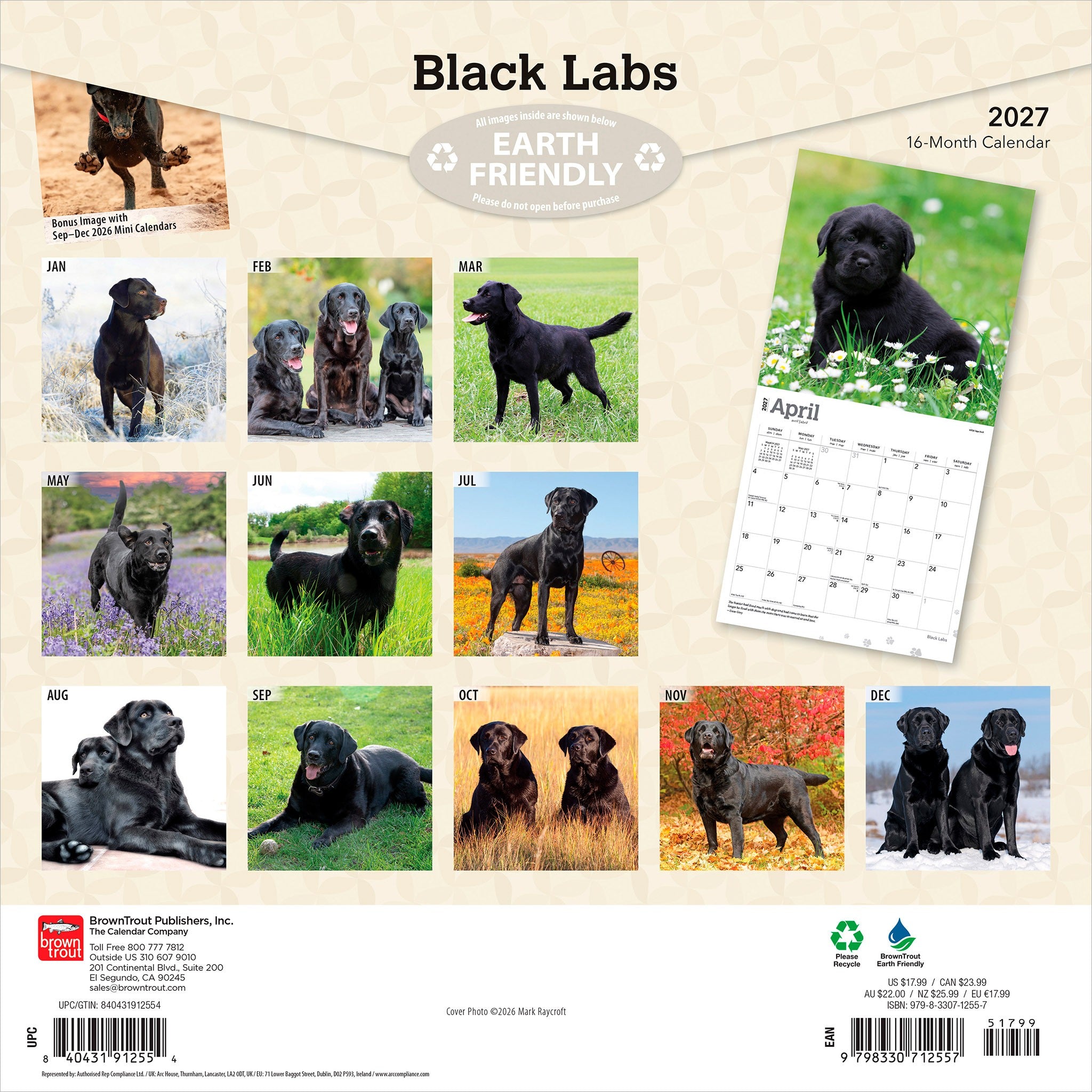 Black Labs 2027 Wall Calendar