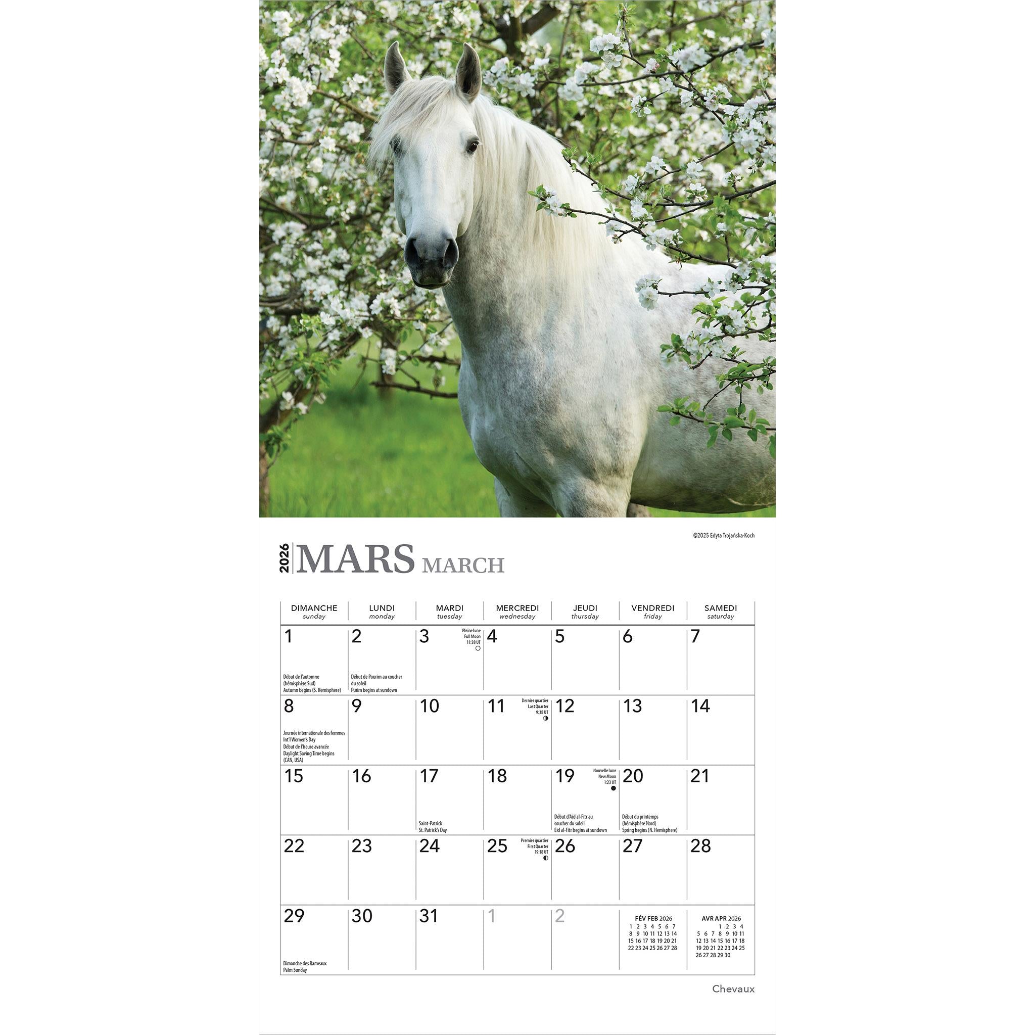 Chevaux 2026 Mini Calendar (French)
