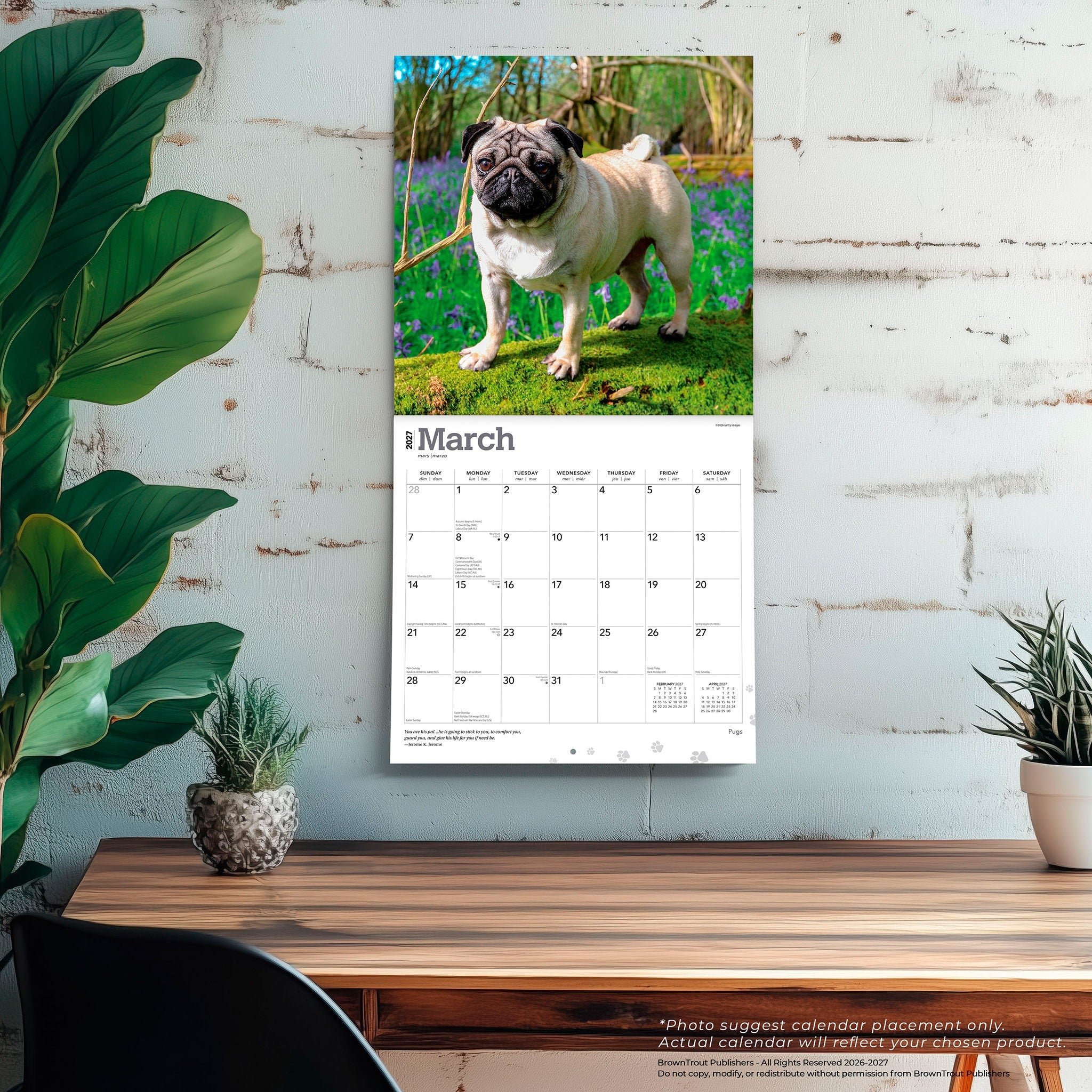 Pugs 2027 Wall Calendar