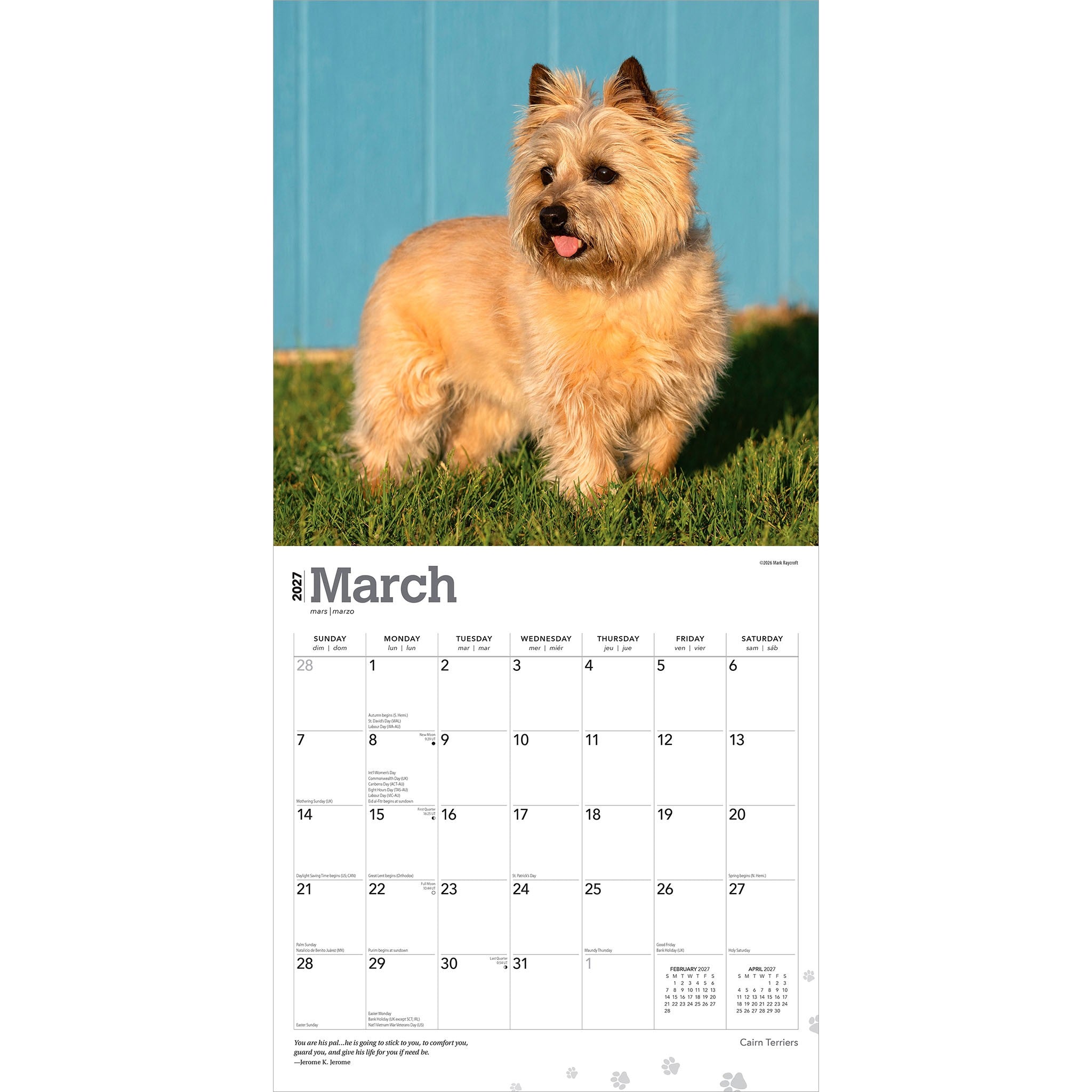 Cairn Terriers 2027 Wall Calendar