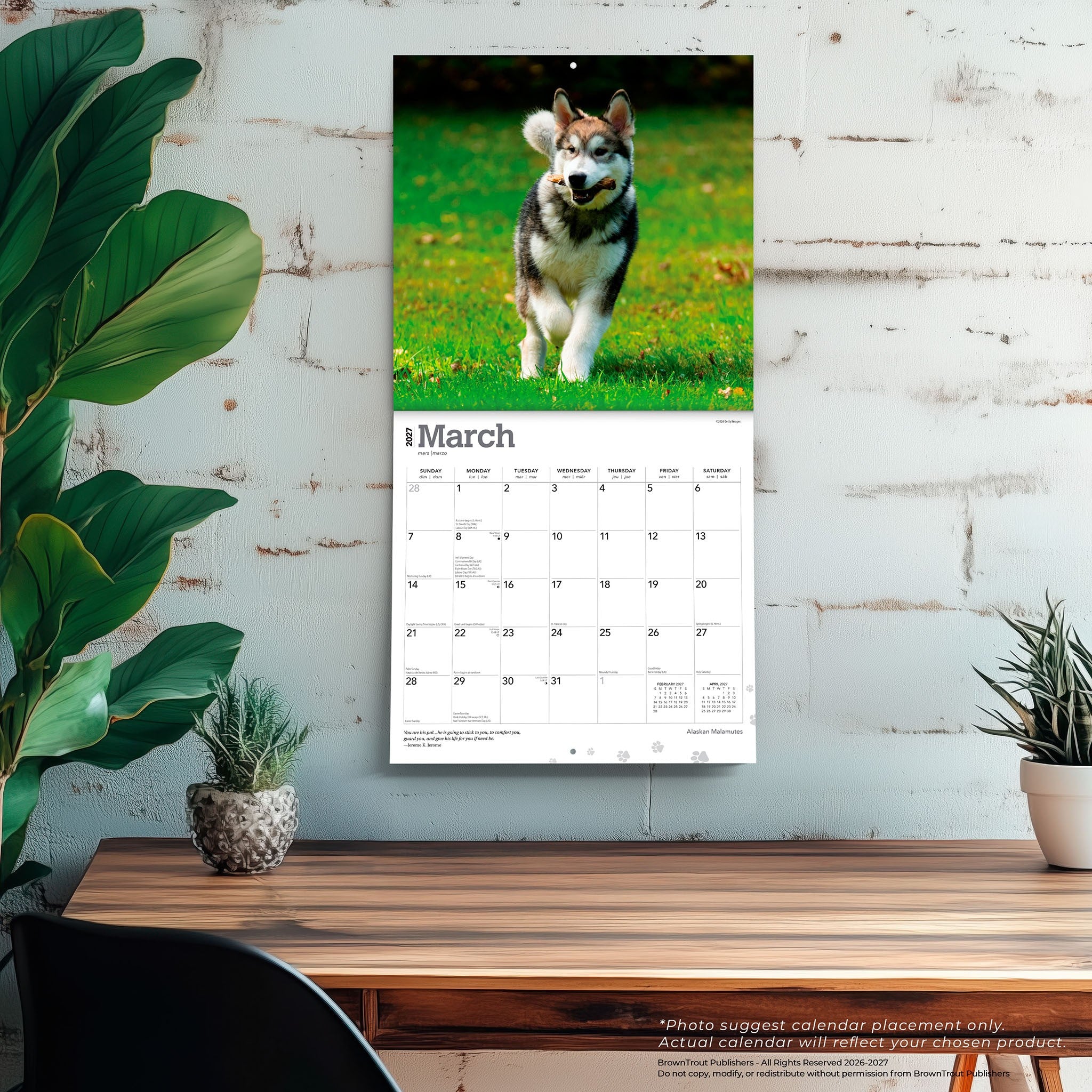 Alaskan Malamutes 2027 Wall Calendar