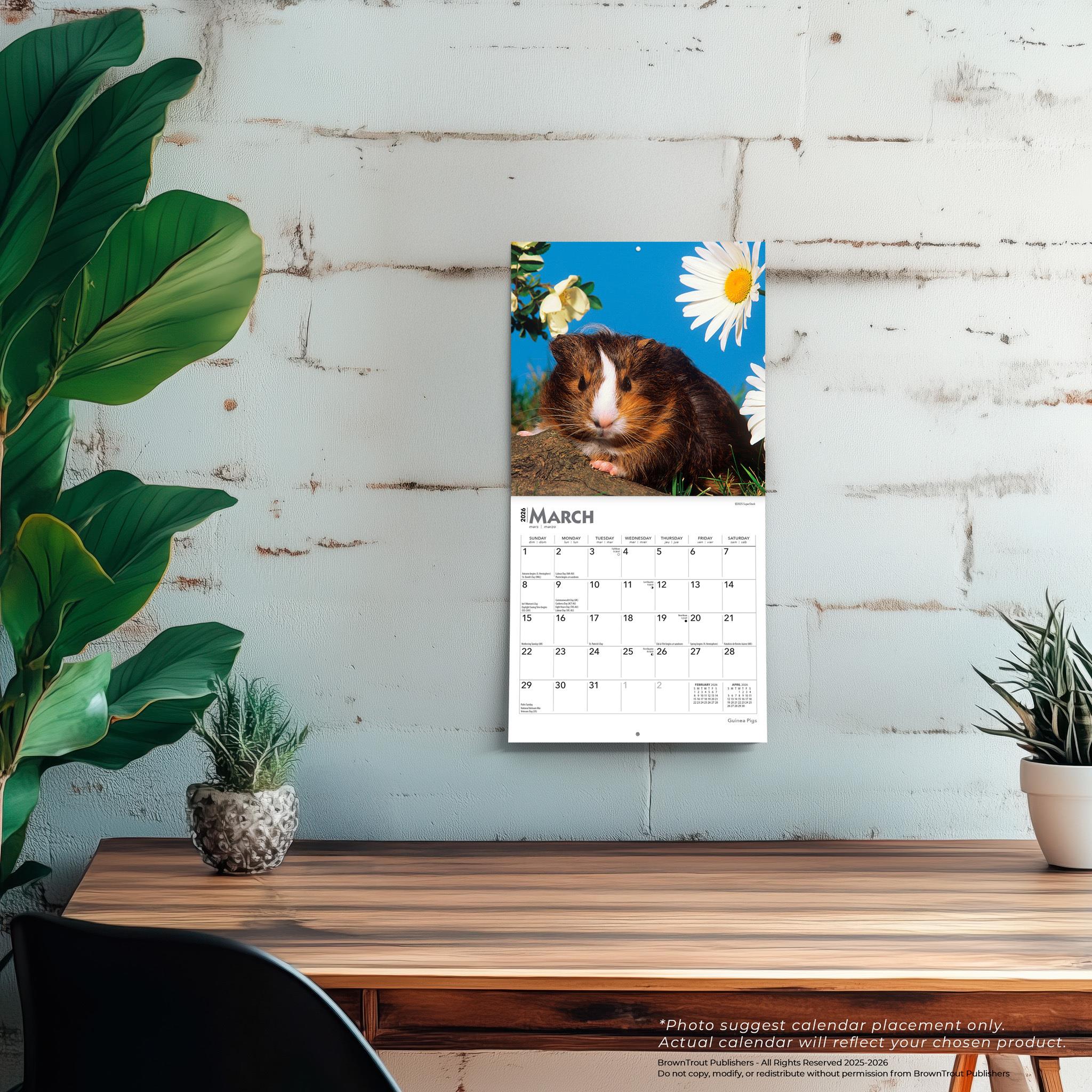 Mini calendrier des cobayes 2026