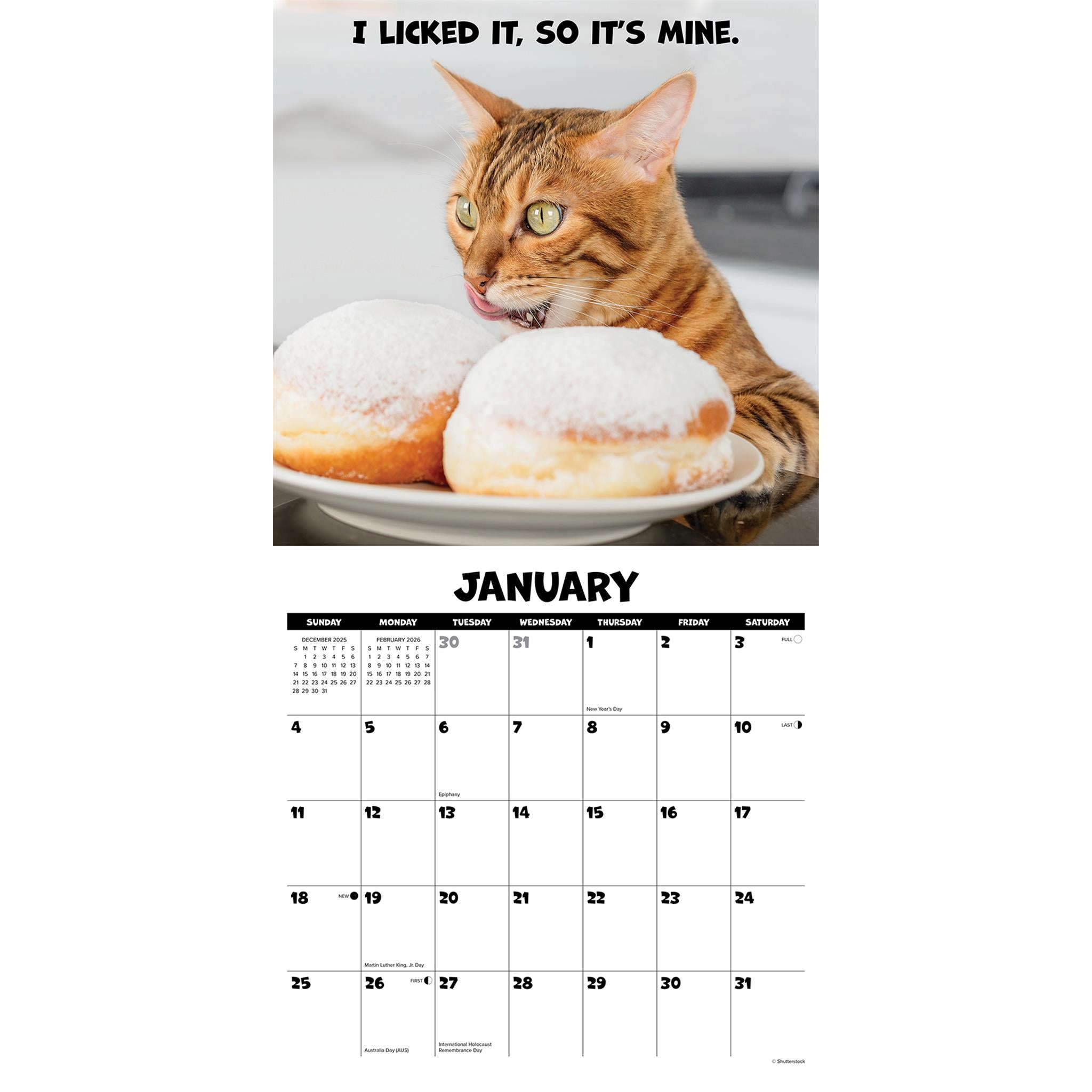 Calendrier mural Cat Chat 2026 - Disponible uniquement en ligne