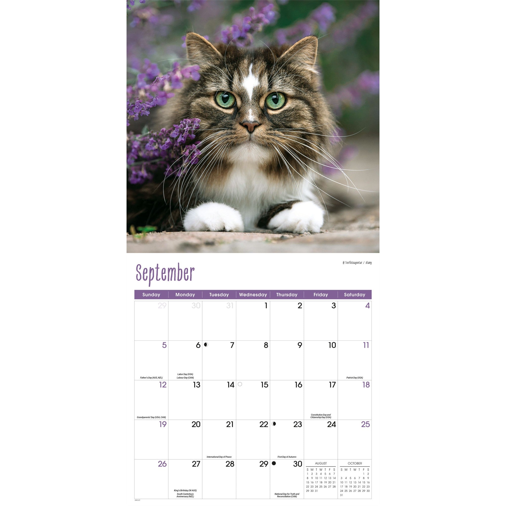 Calendrier mural 2027 Chats