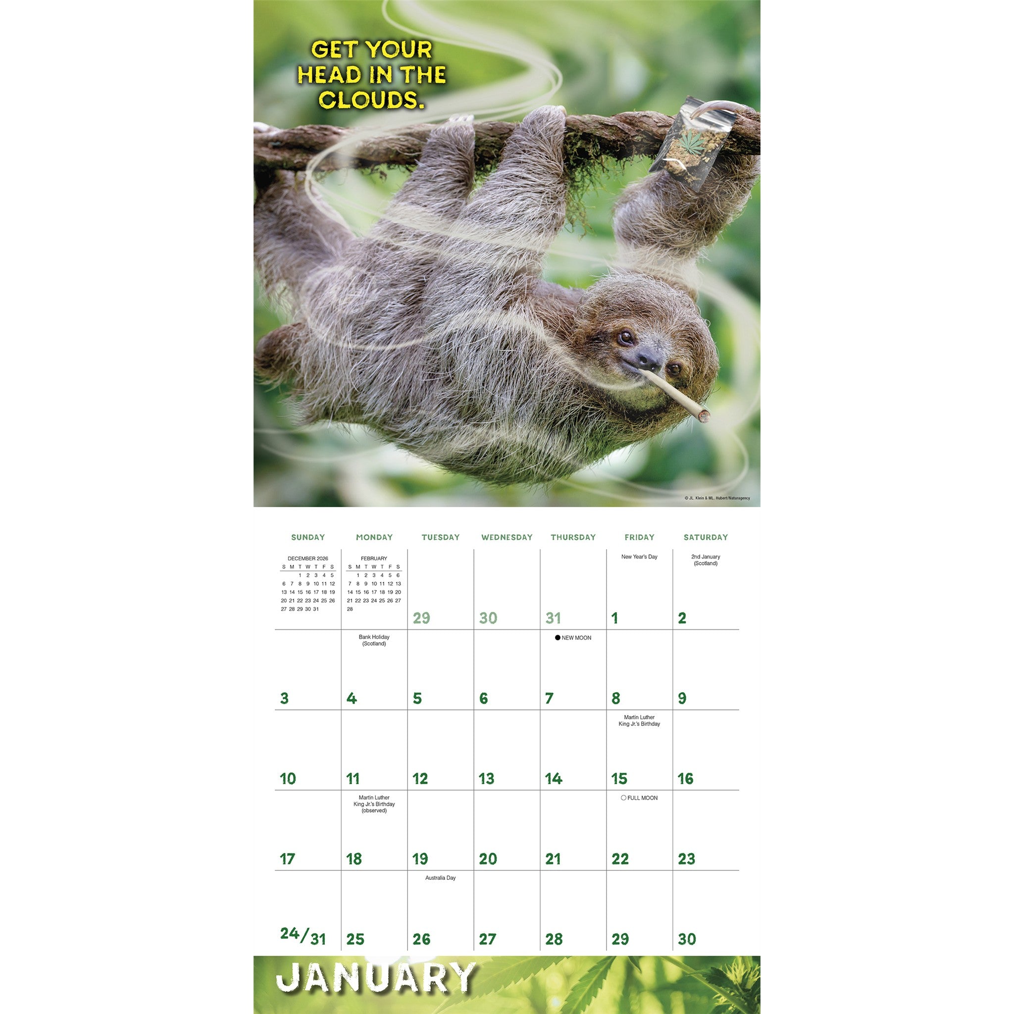 Stoner Sloths 2027 Wall Calendar