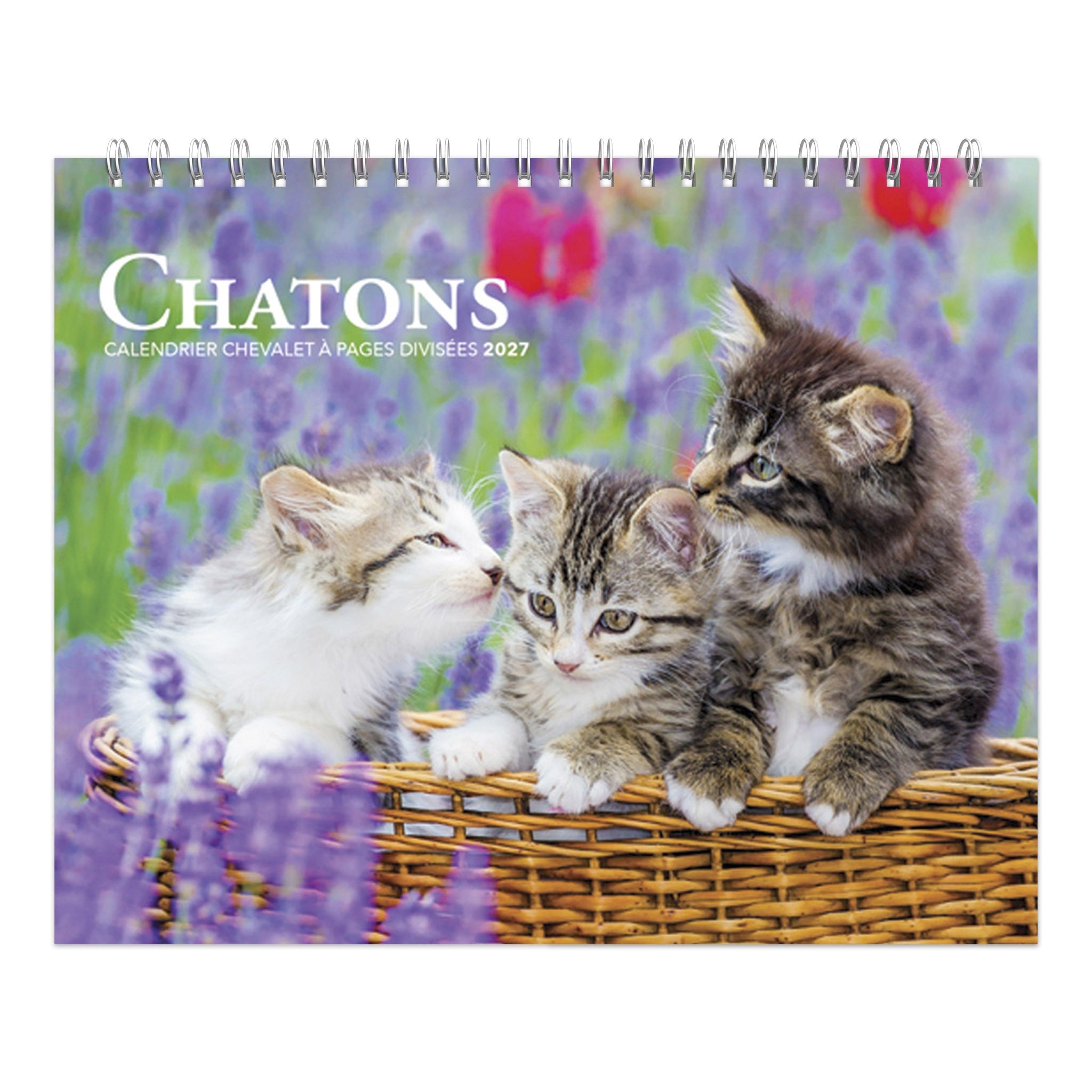 Chatons Double-View 2027 Easel Calendar (French)
