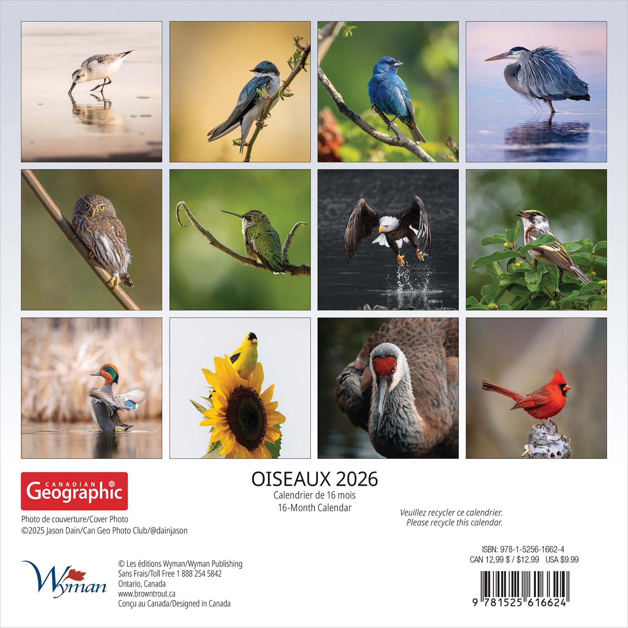 Mini-calendrier Oiseaux 2026 de Canadian Geographic (français)