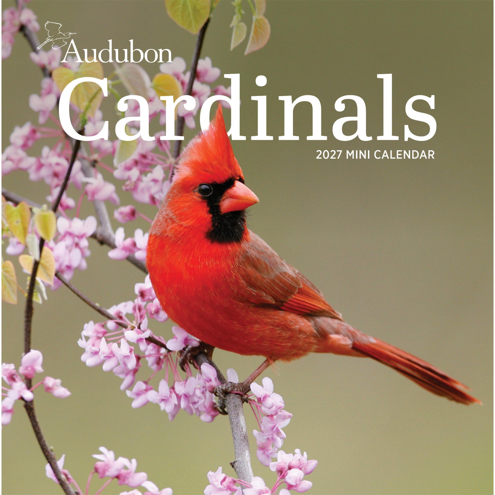 Audubon Cardinals 2027 Mini Calendar - Online Only