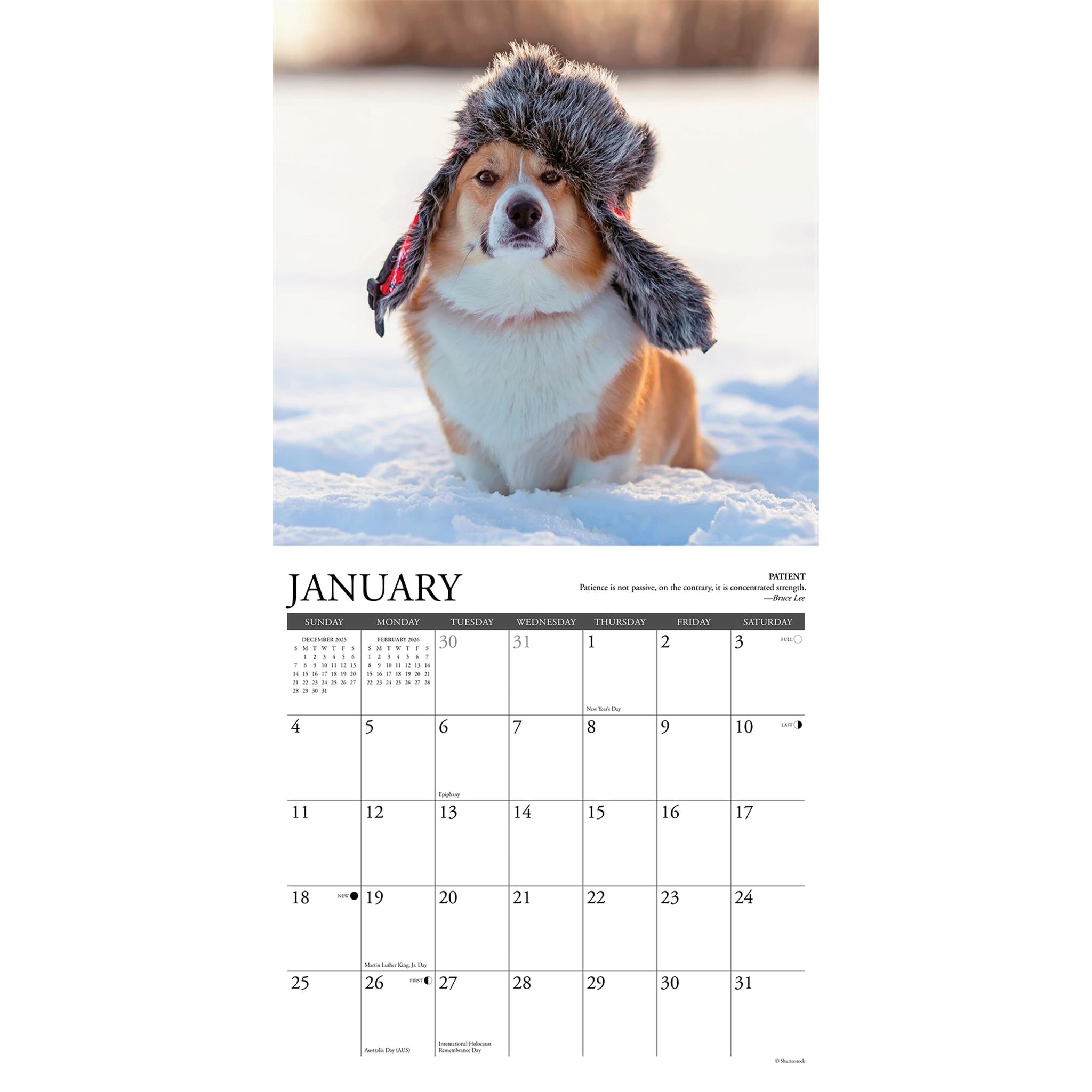 Calendrier mural Corgi Rules 2026 - Disponible uniquement en ligne
