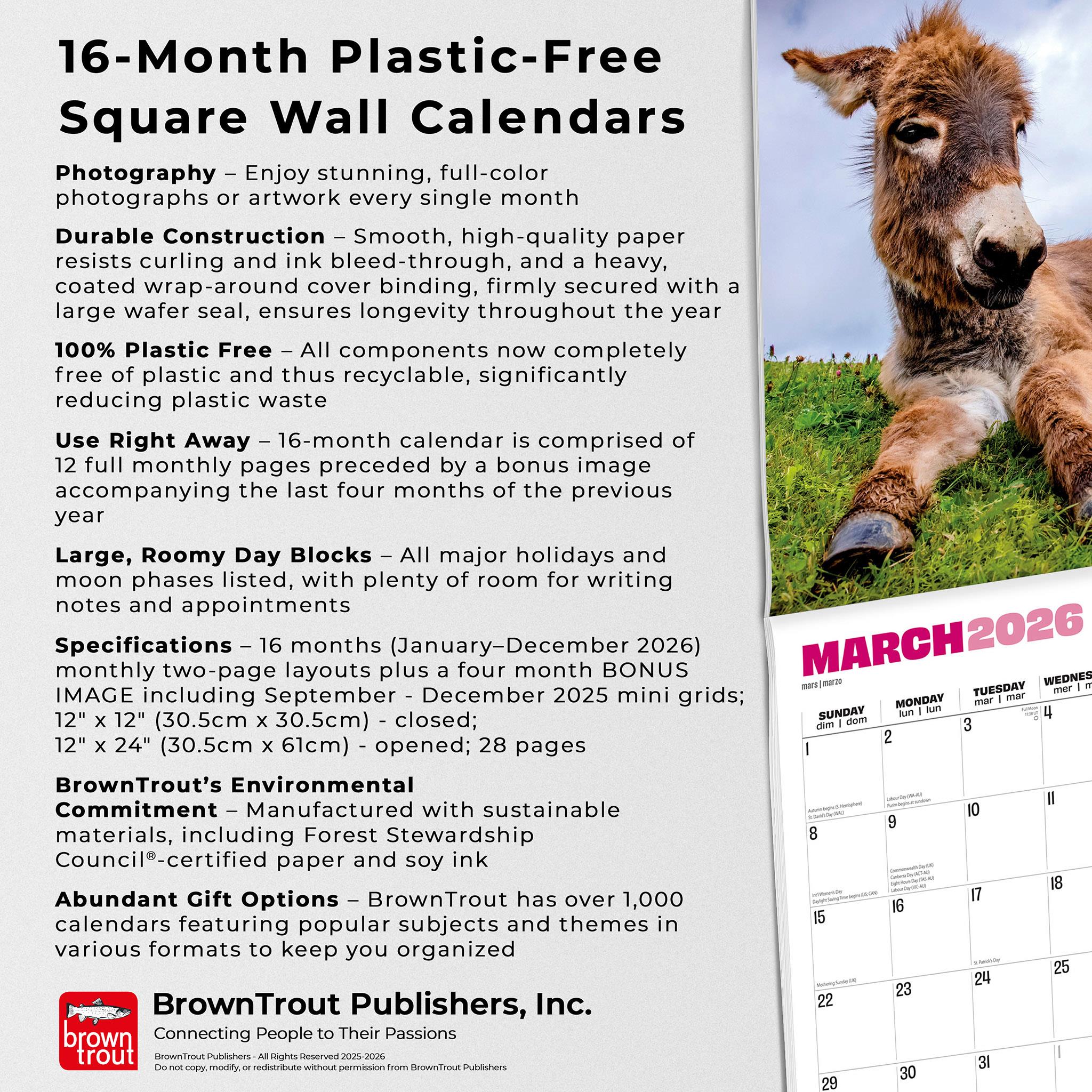 Jackasses 2026 Wall Calendar