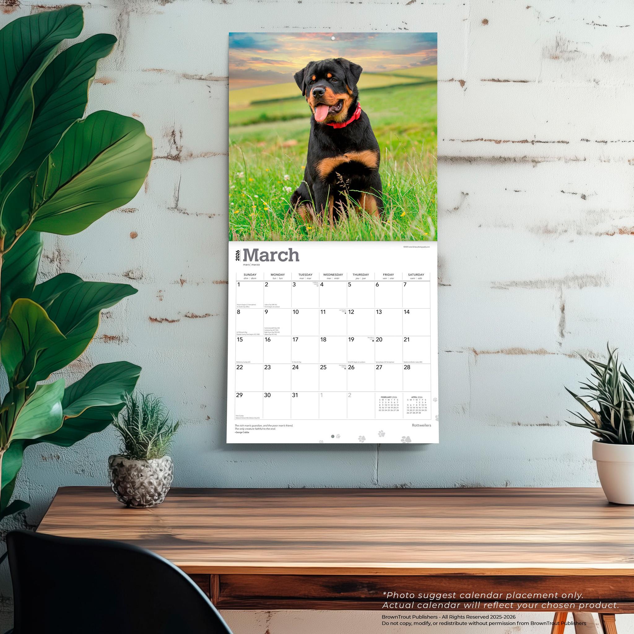 Calendrier mural Rottweilers 2026