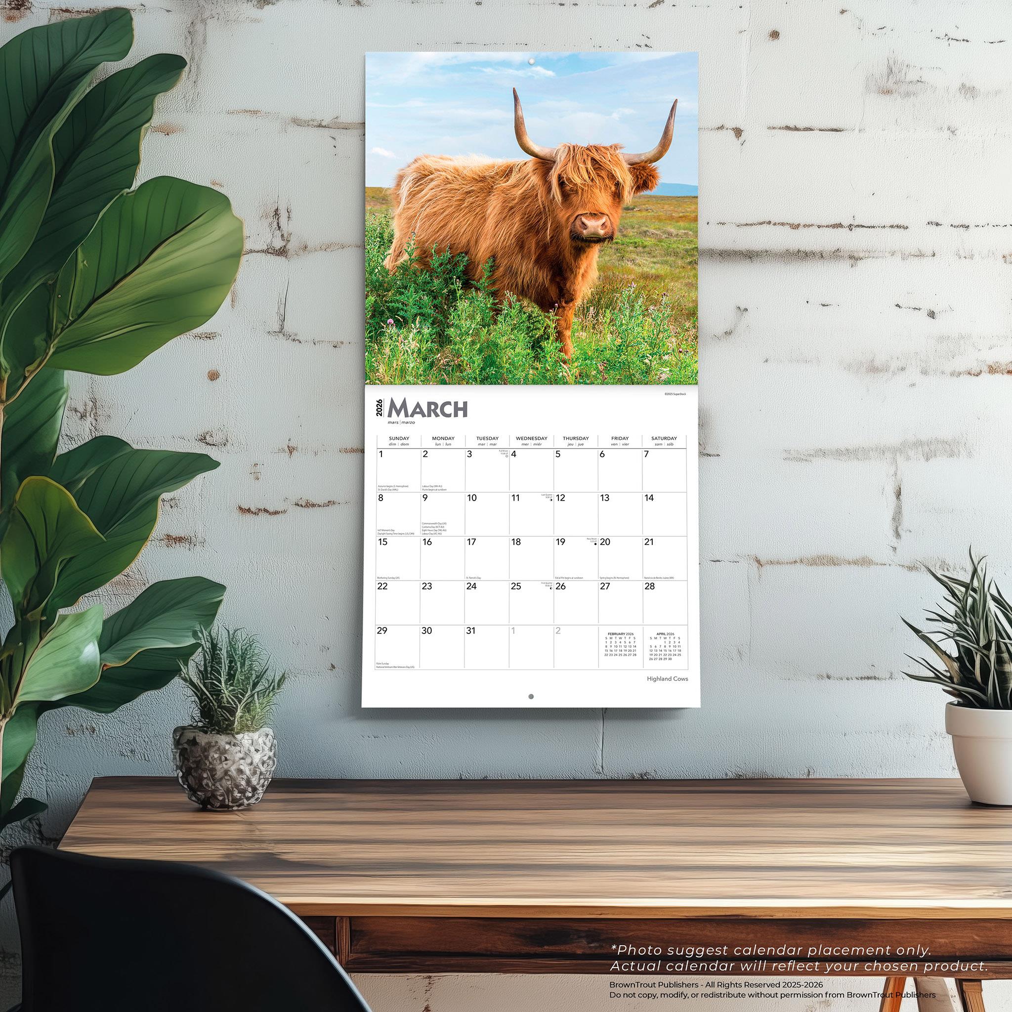 Calendrier mural des vaches des Highlands 2026