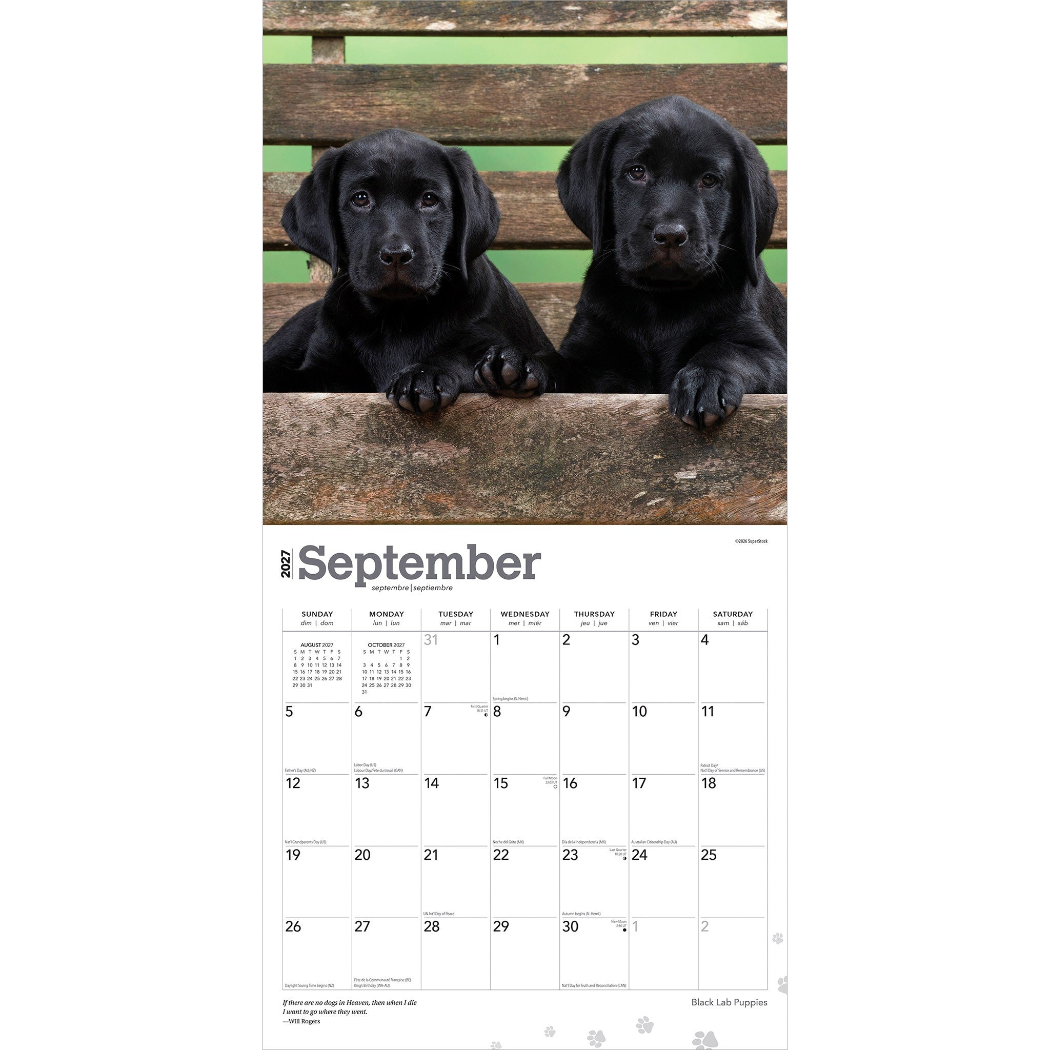 Black Lab Puppies 2027 Wall Calendar