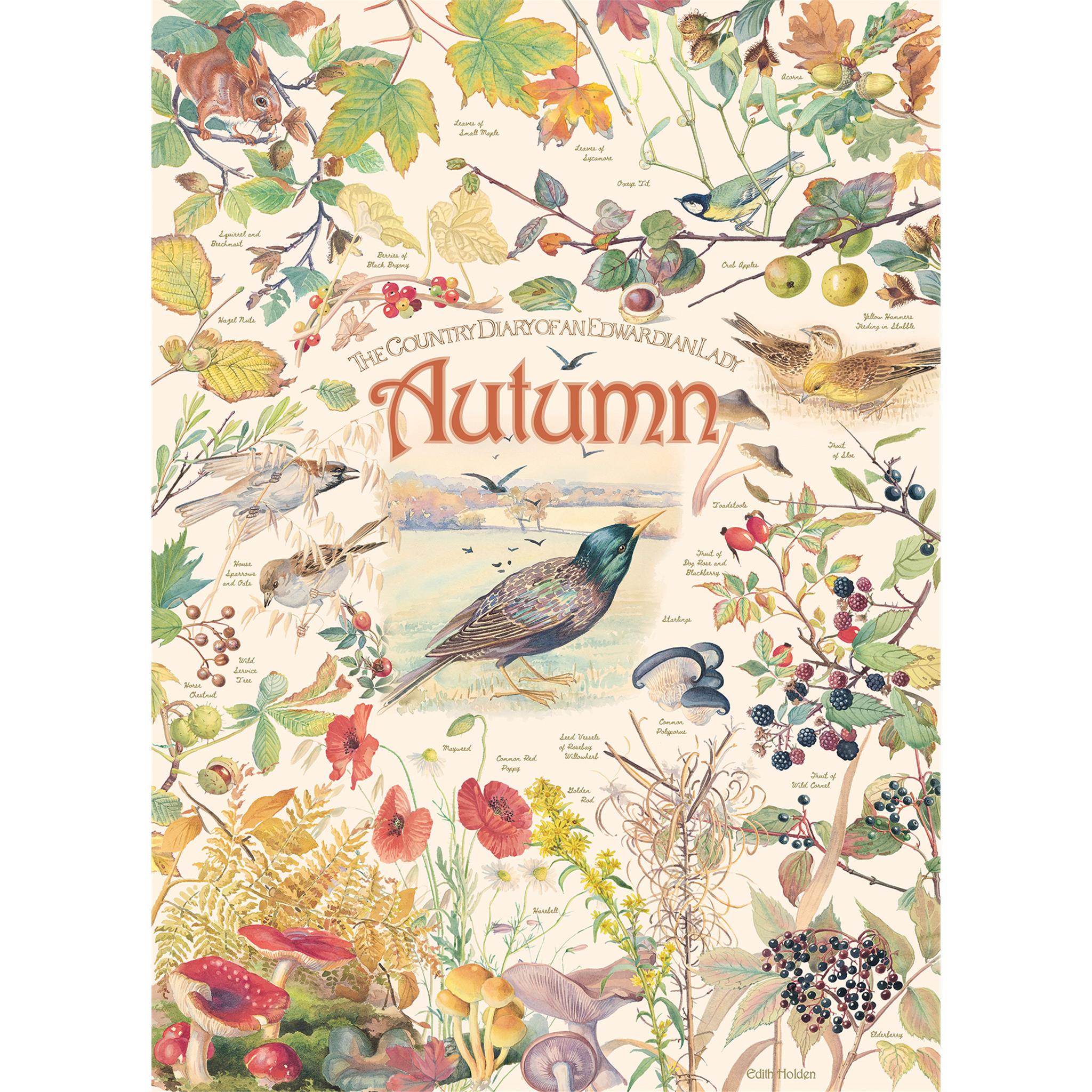 Country Diary: Autumn 1000 Piece Puzzle Cobble Hill
