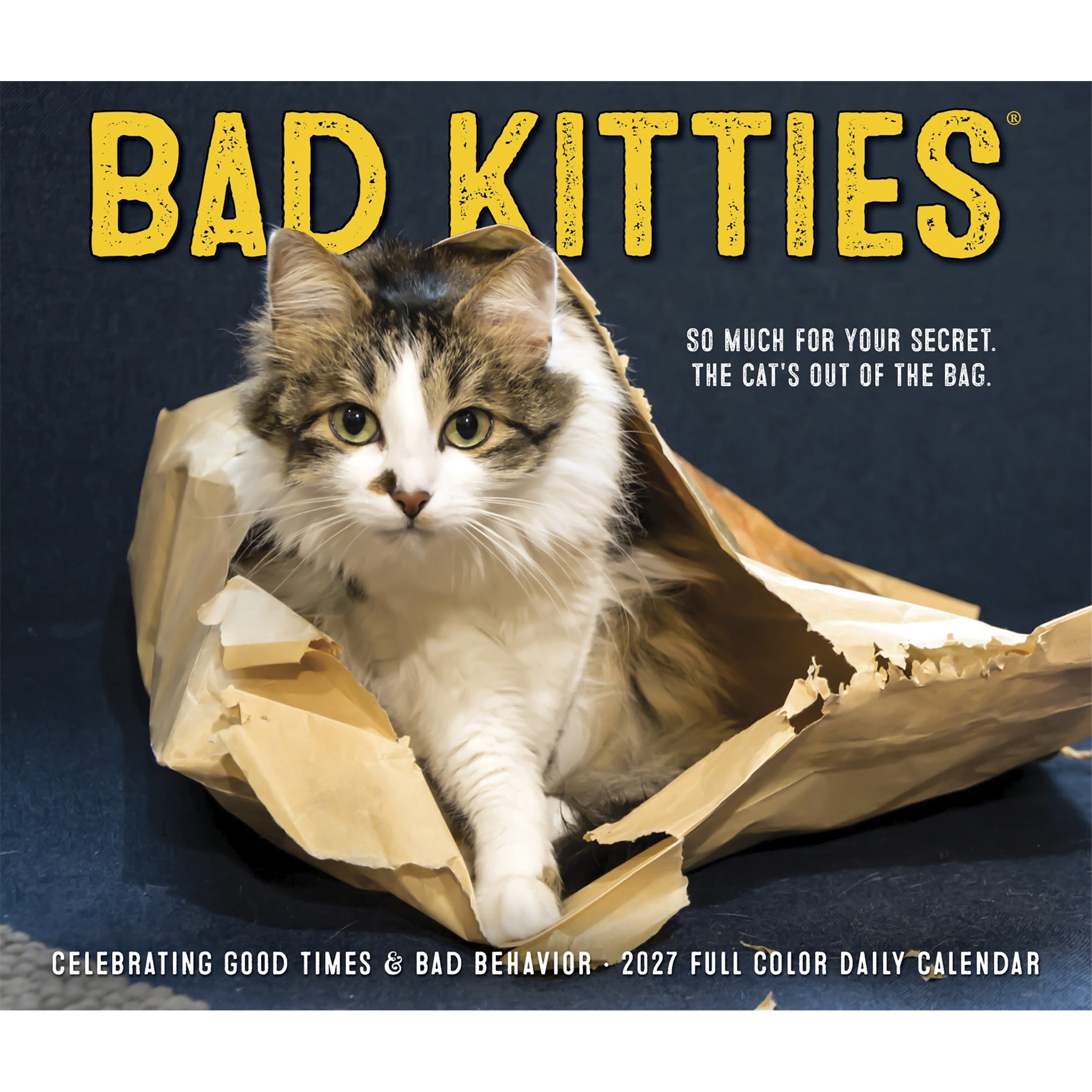 Bad Kitties 2027 Box Calendar - Online Only