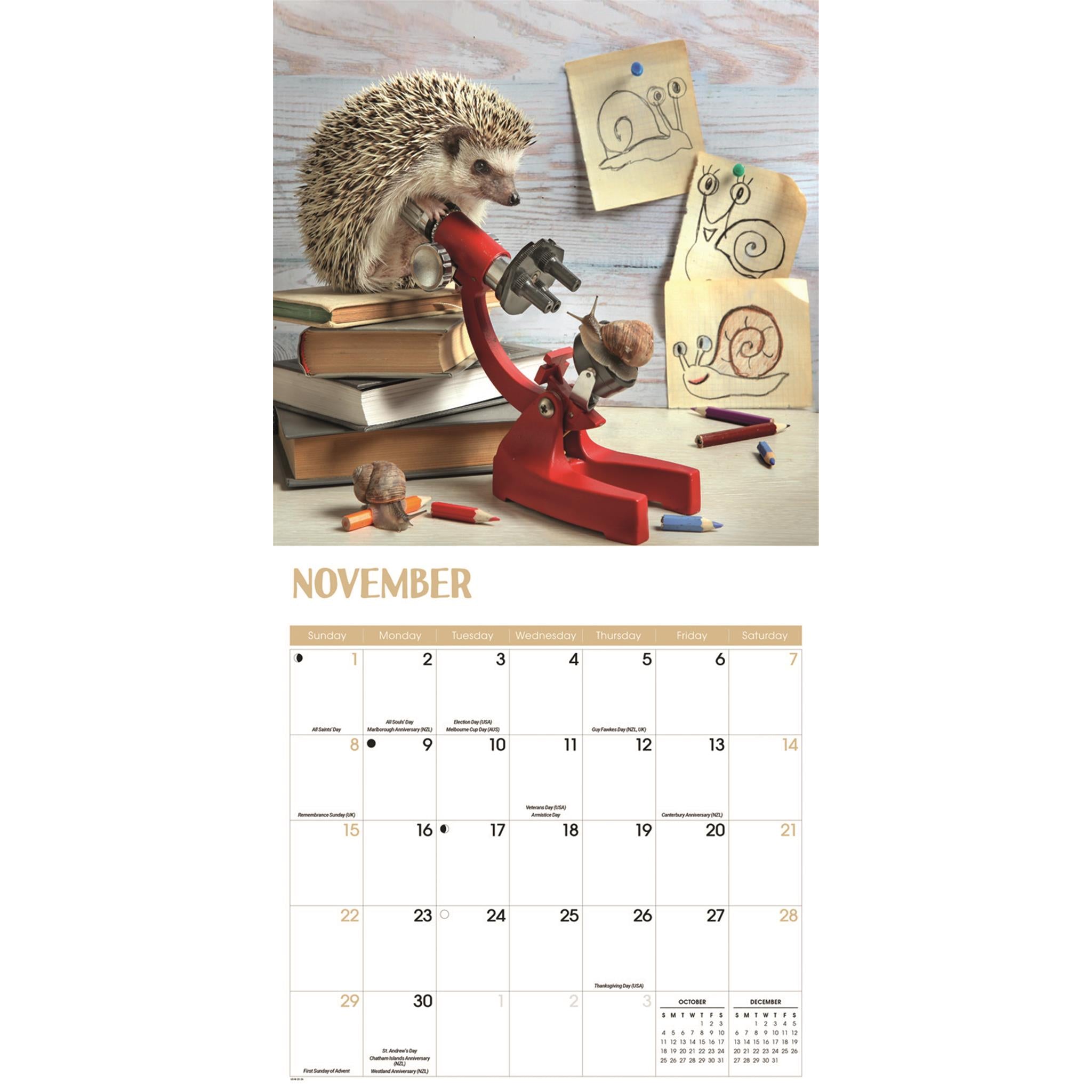 Calendrier mural Hérissons 2026