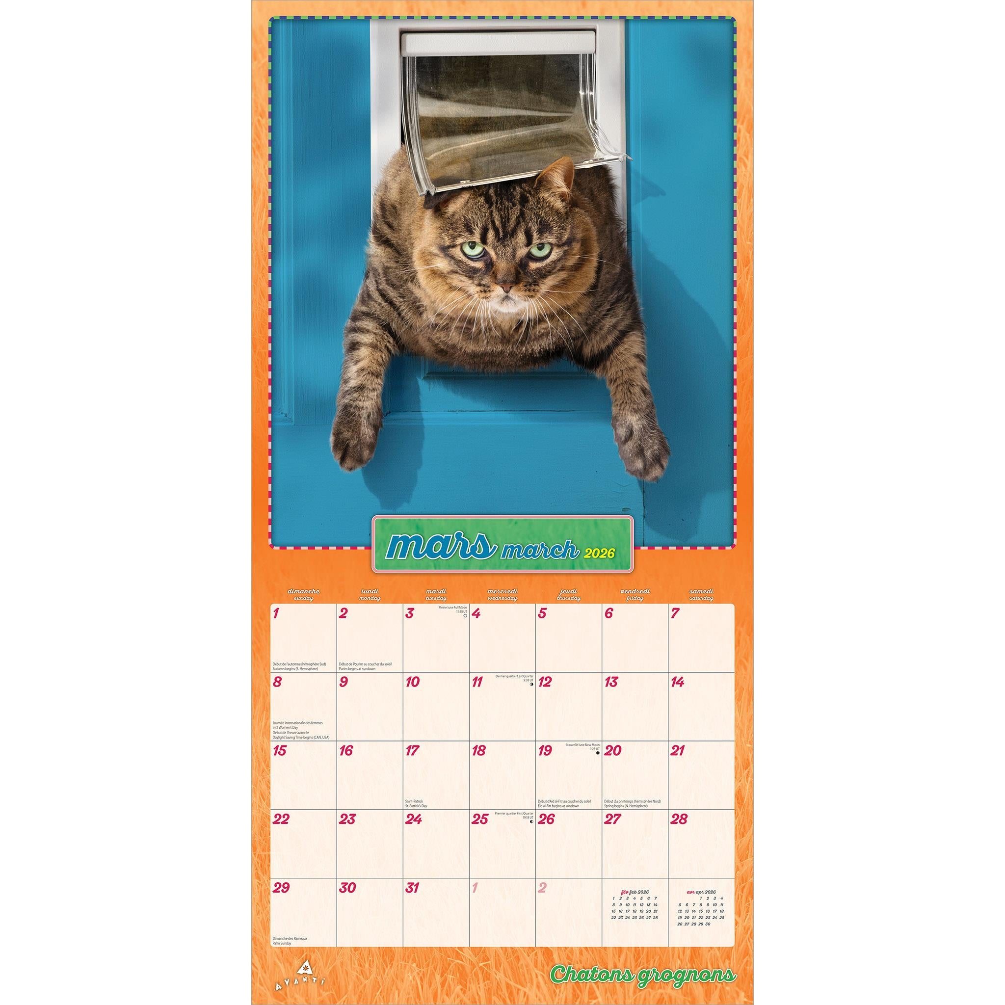 Chatons Grognons 2026 Wall Calendar (French)