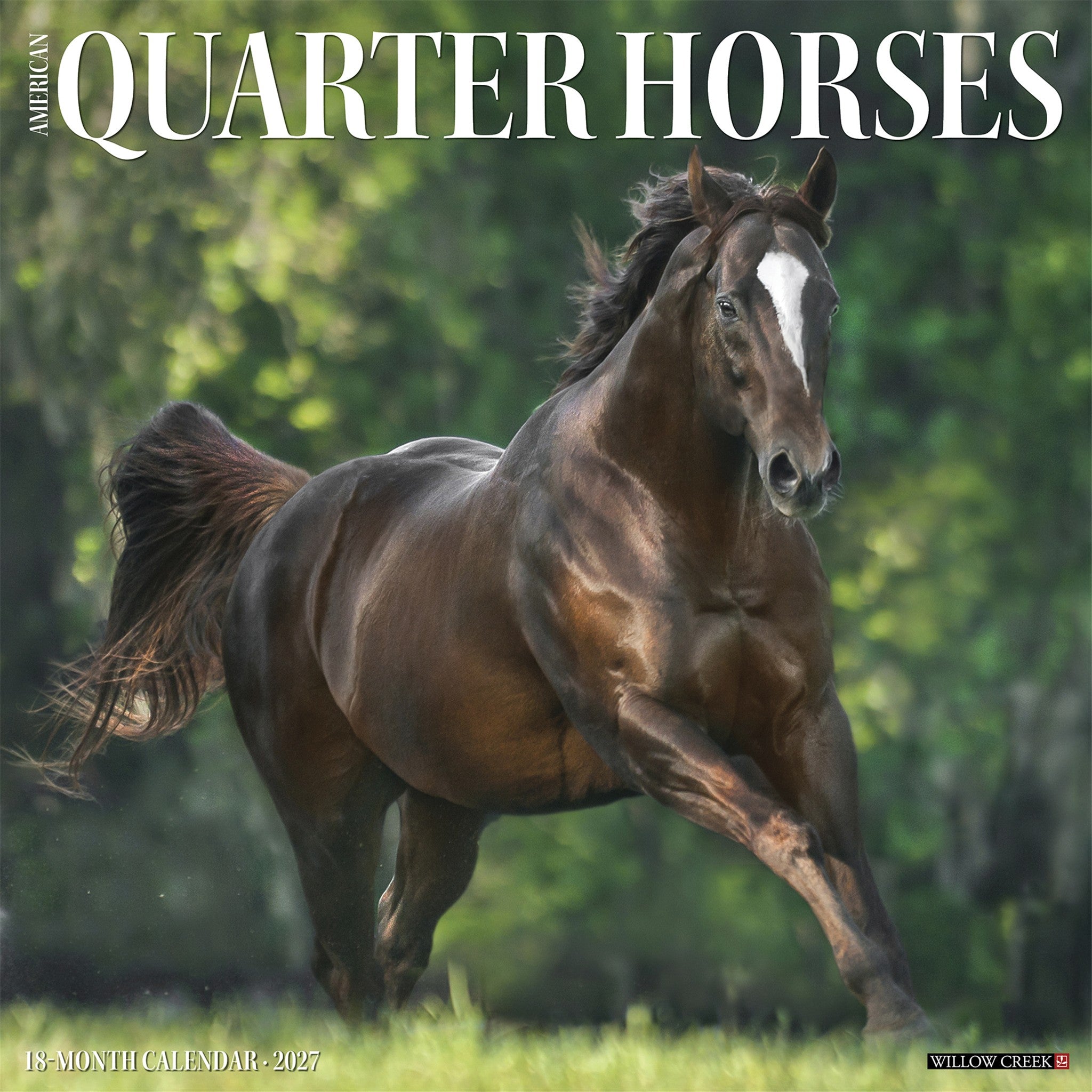 American Quarter Horses 2027 Wall Calendar