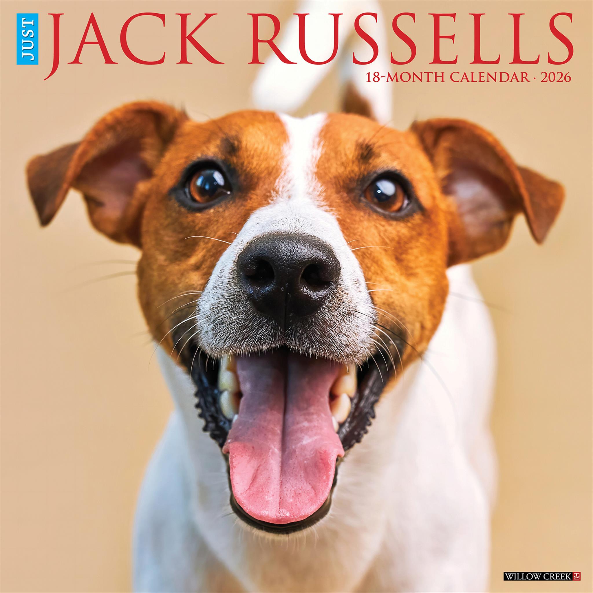 Calendrier mural Just Jack Russells 2026
