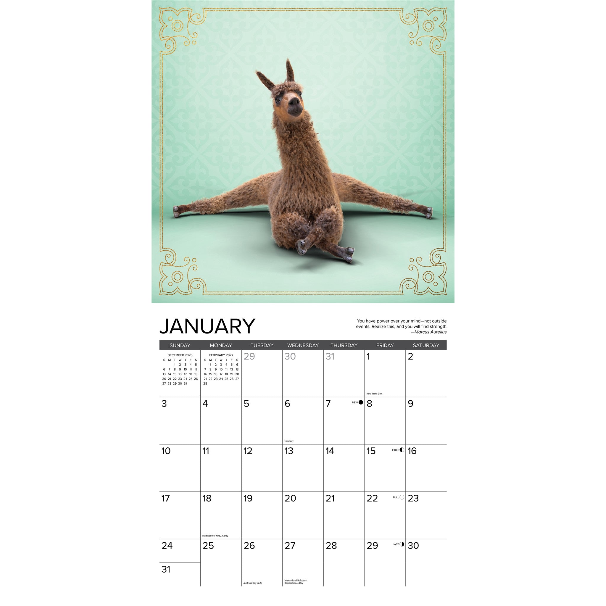 Llama Yoga 2027 Wall Calendar