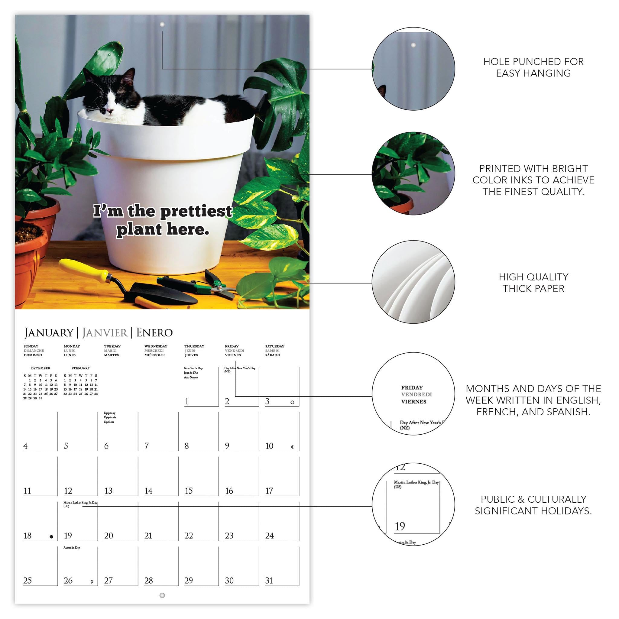 Calendrier mural 2026 « Que des ennuis » - Disponible uniquement en ligne