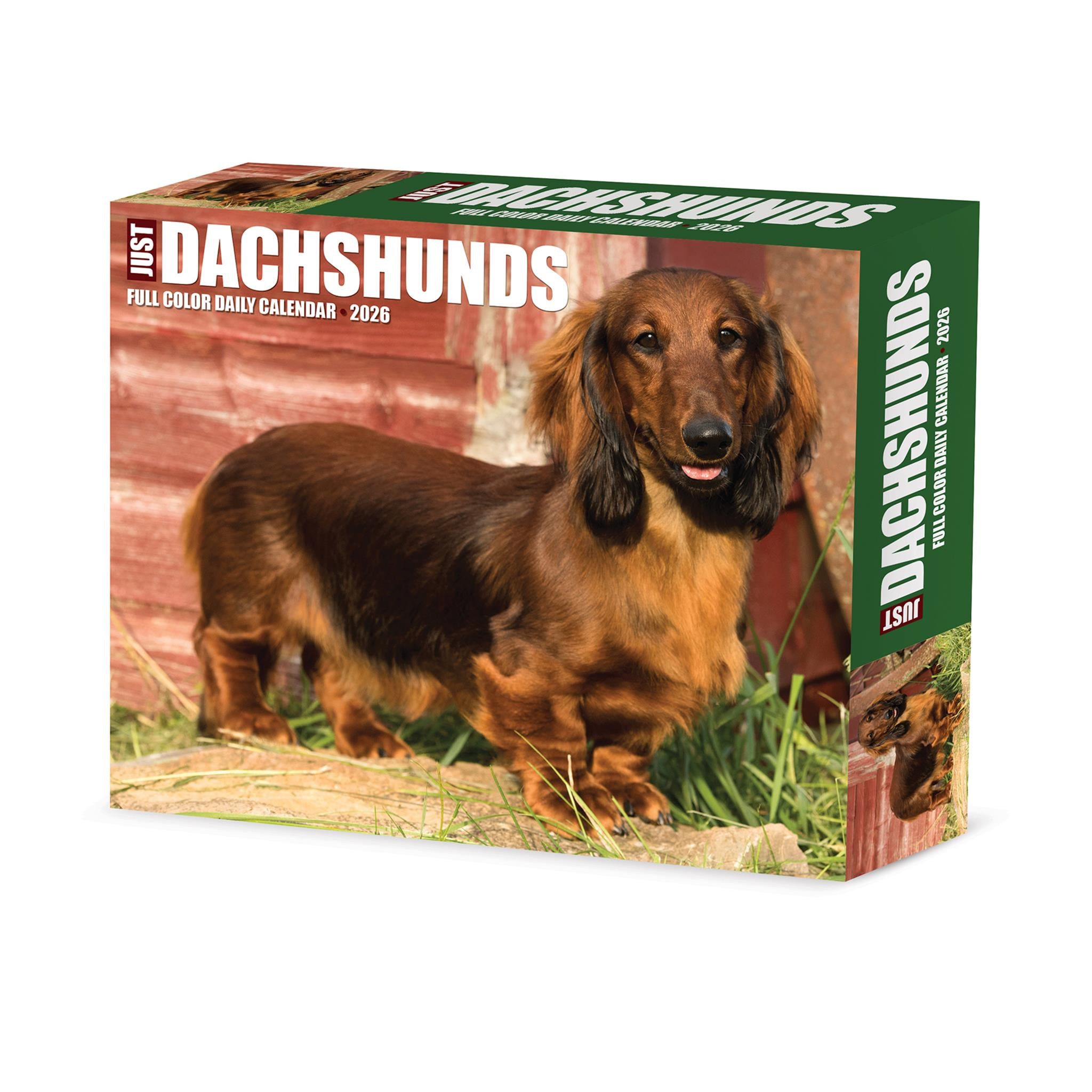 Calendrier en boîte Just Dachshunds 2026