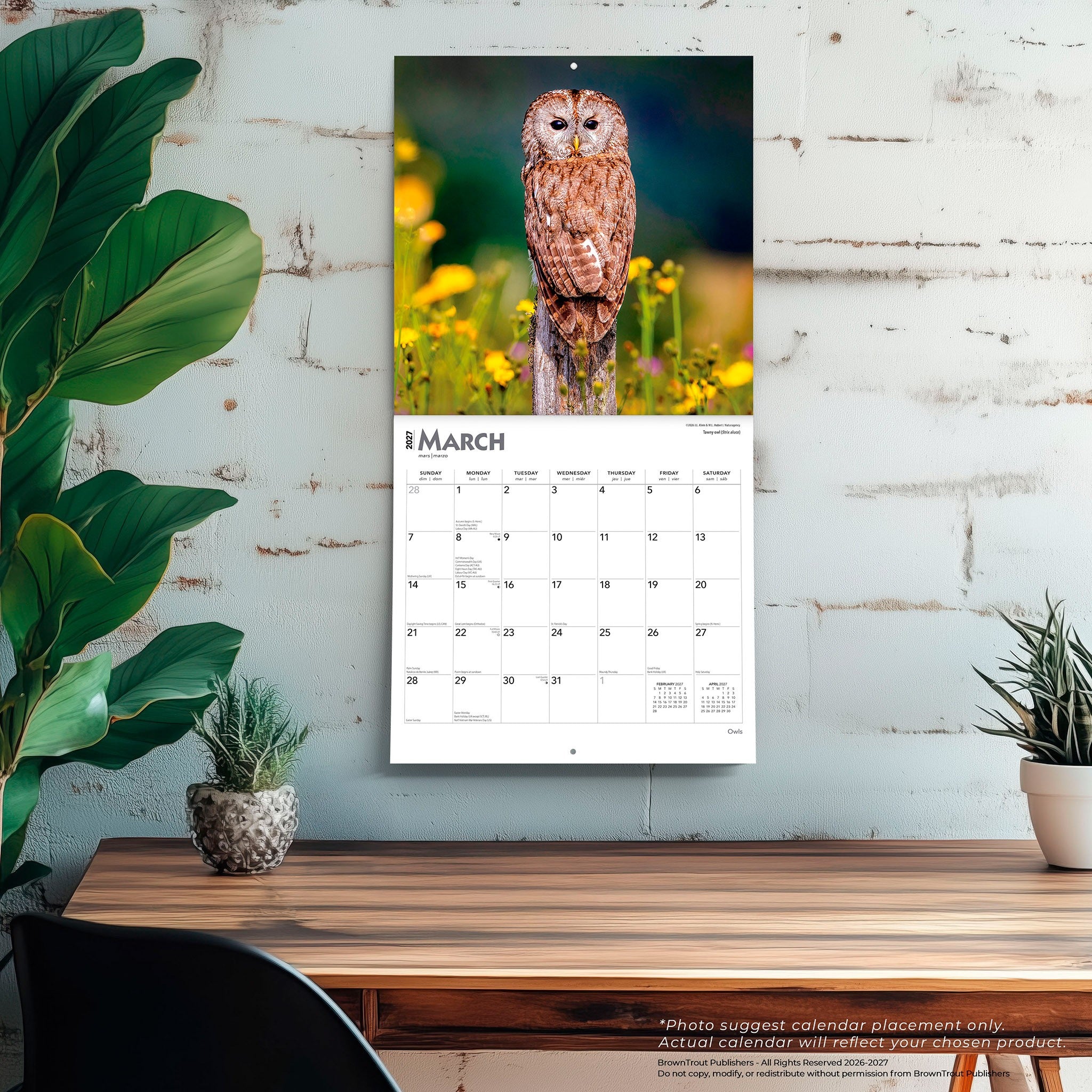 Owls 2027 Wall Calendar - Online Only