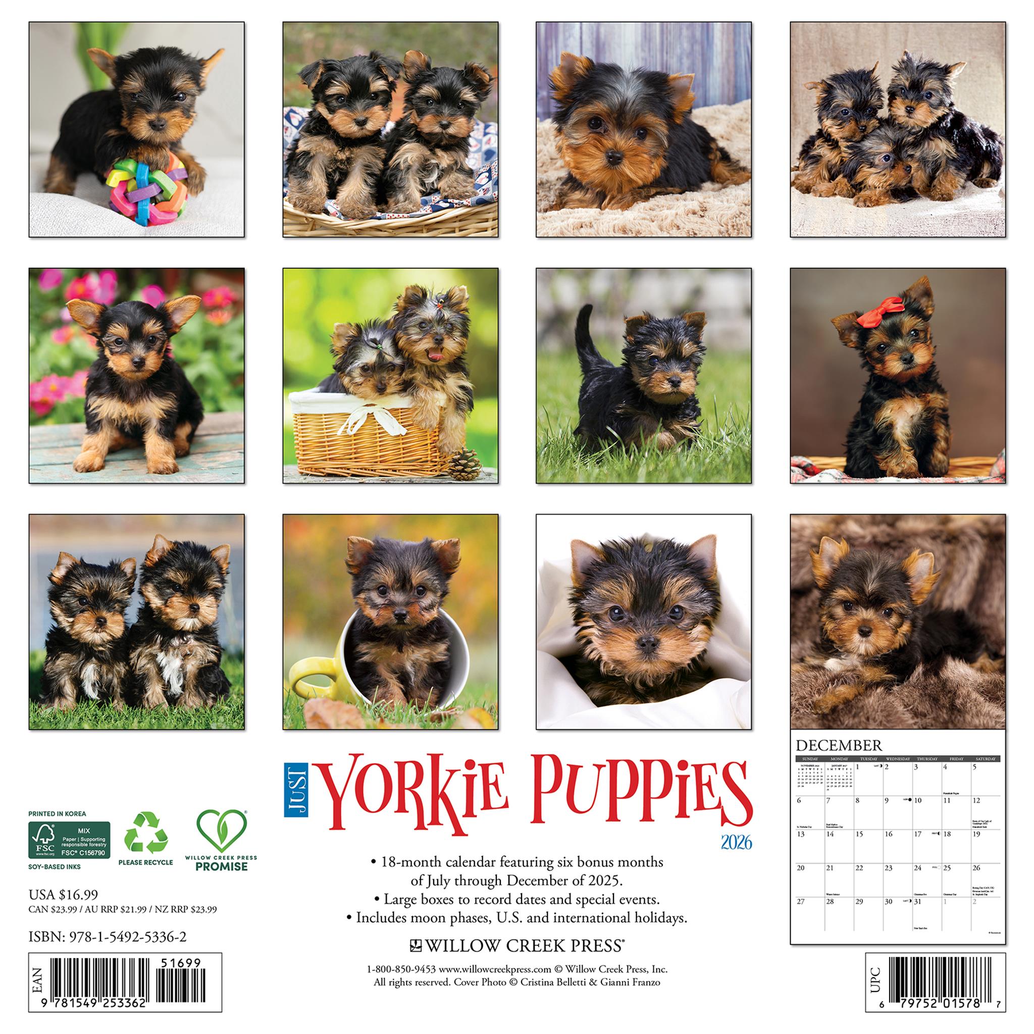 Calendrier mural 2026 « Juste des chiots Yorkshire »