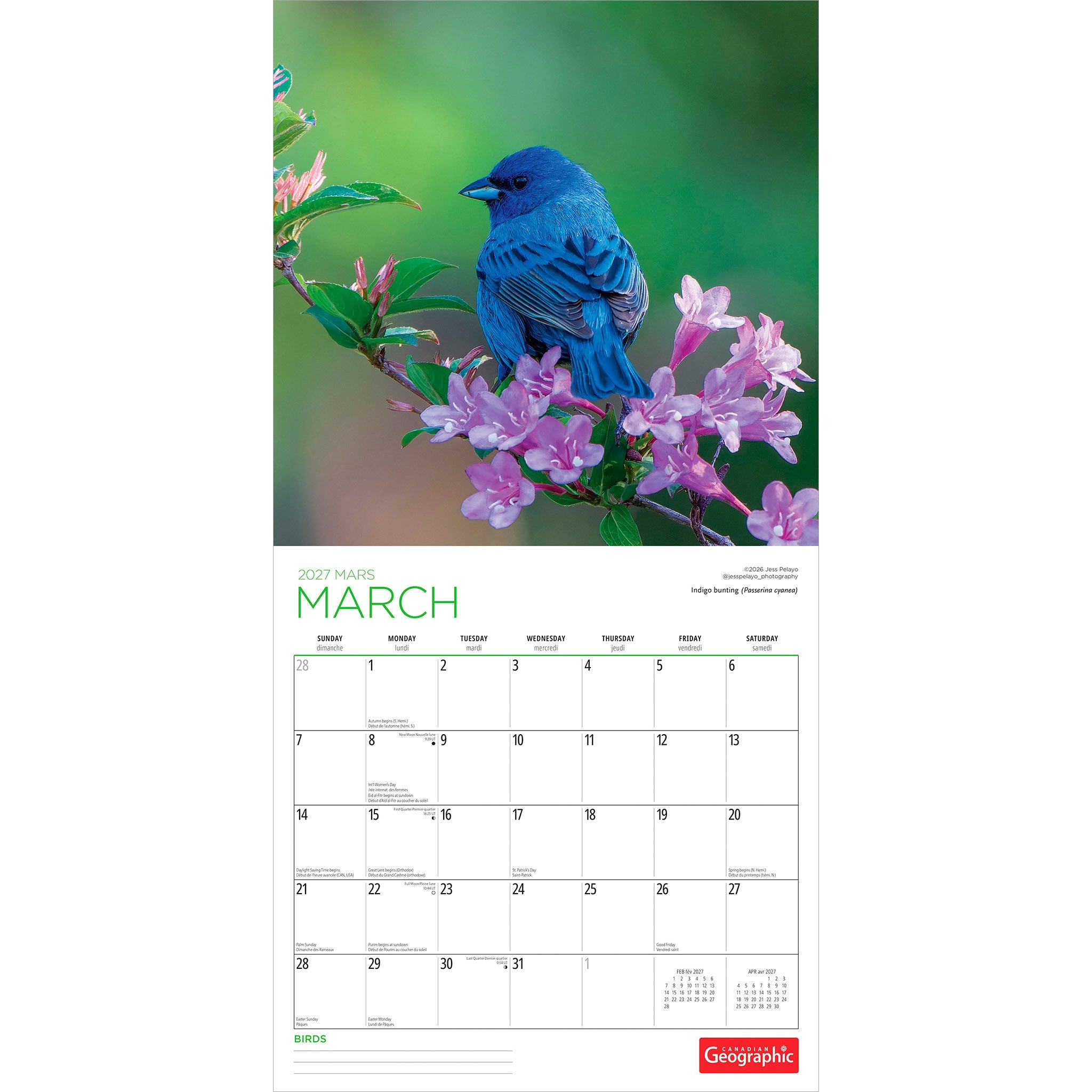 Canadian Geographic Birds 2027 Wall Calendar