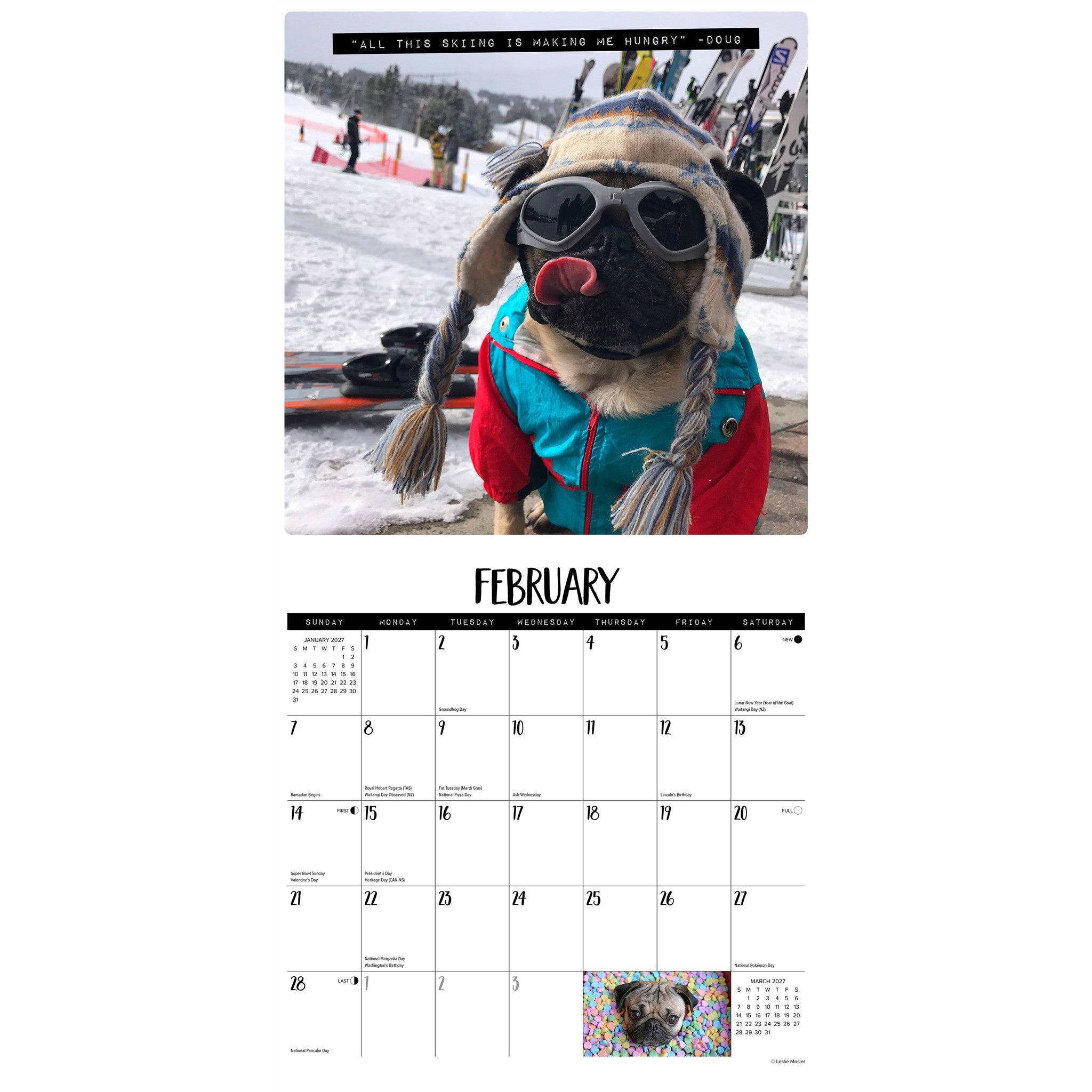 Doug the Pug 2027 Wall Calendar