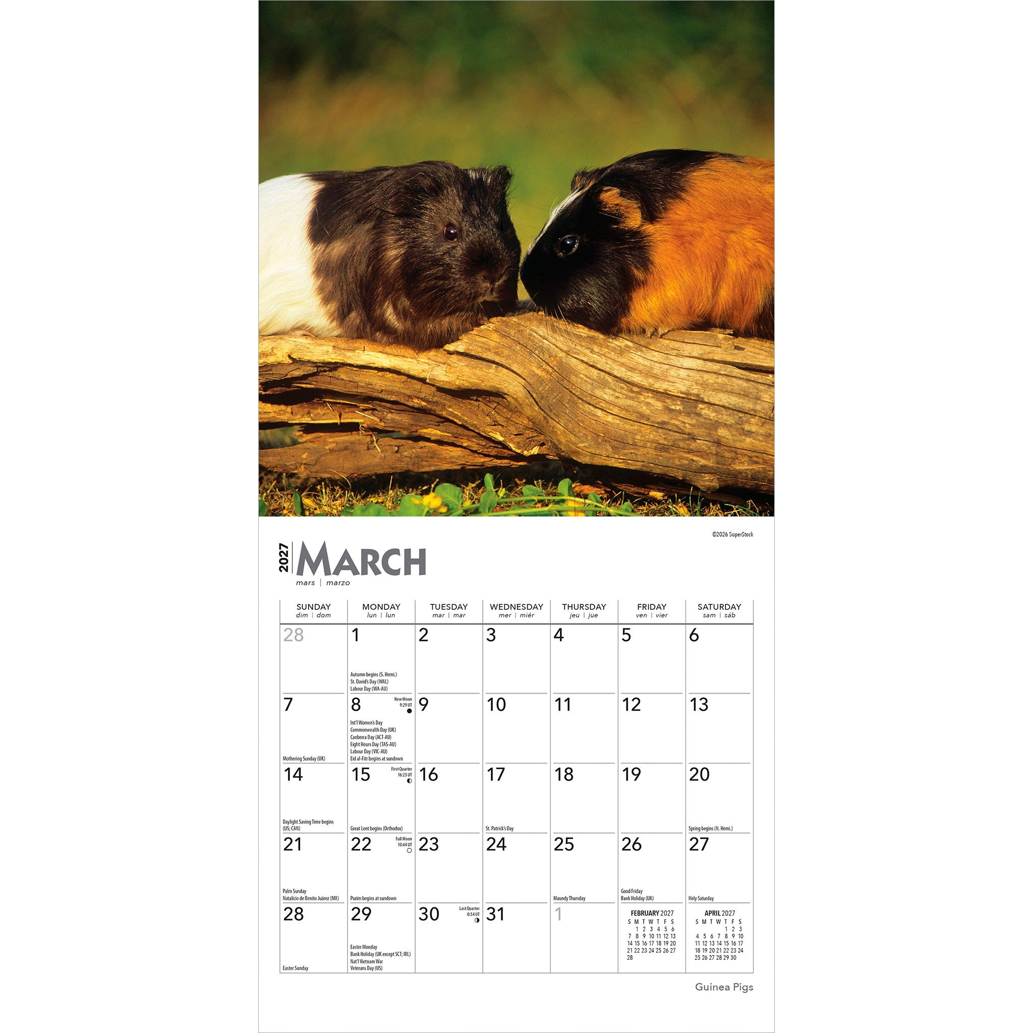 Guinea Pigs 2027 Mini Calendar
