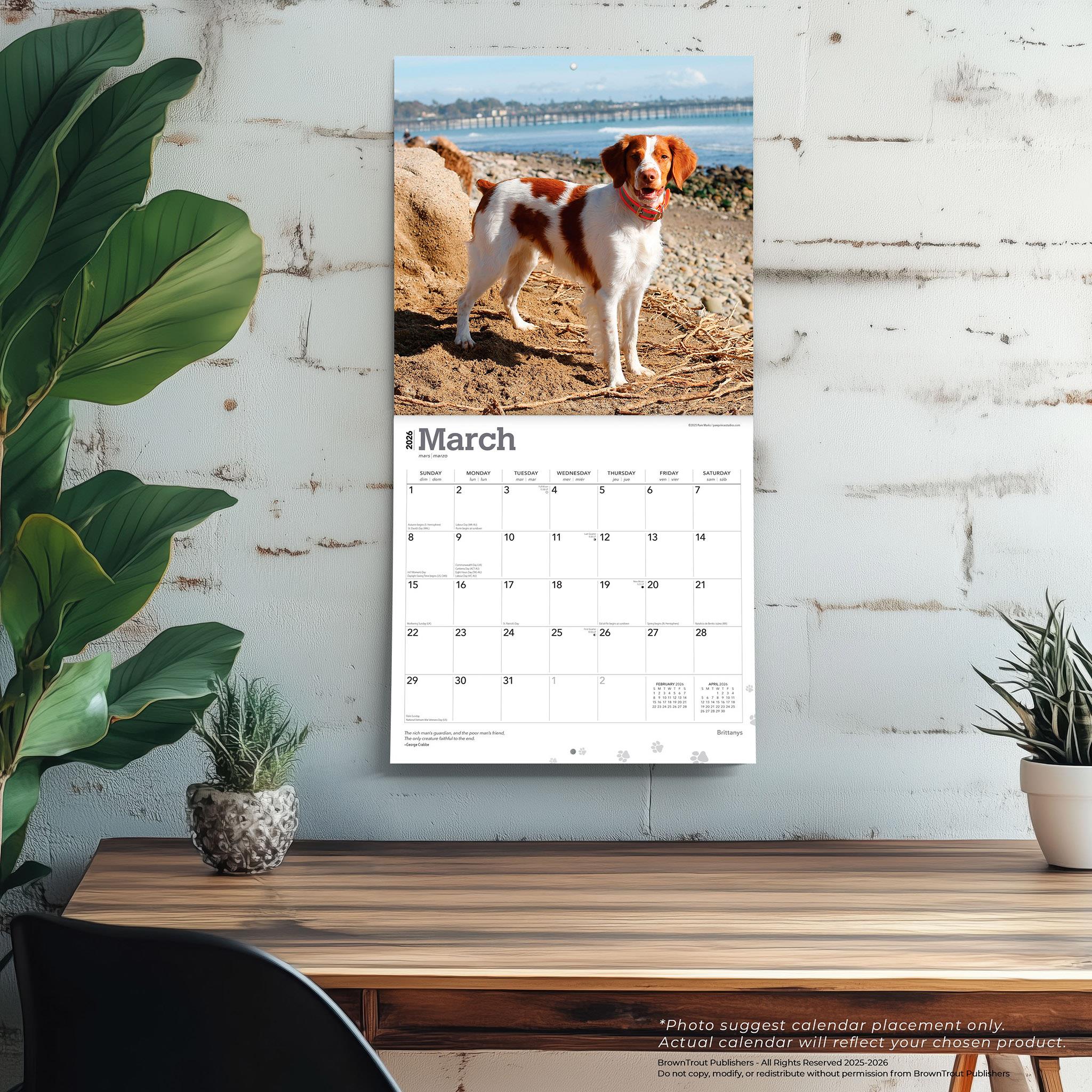 Brittanys 2026 Wall Calendar - Online Only