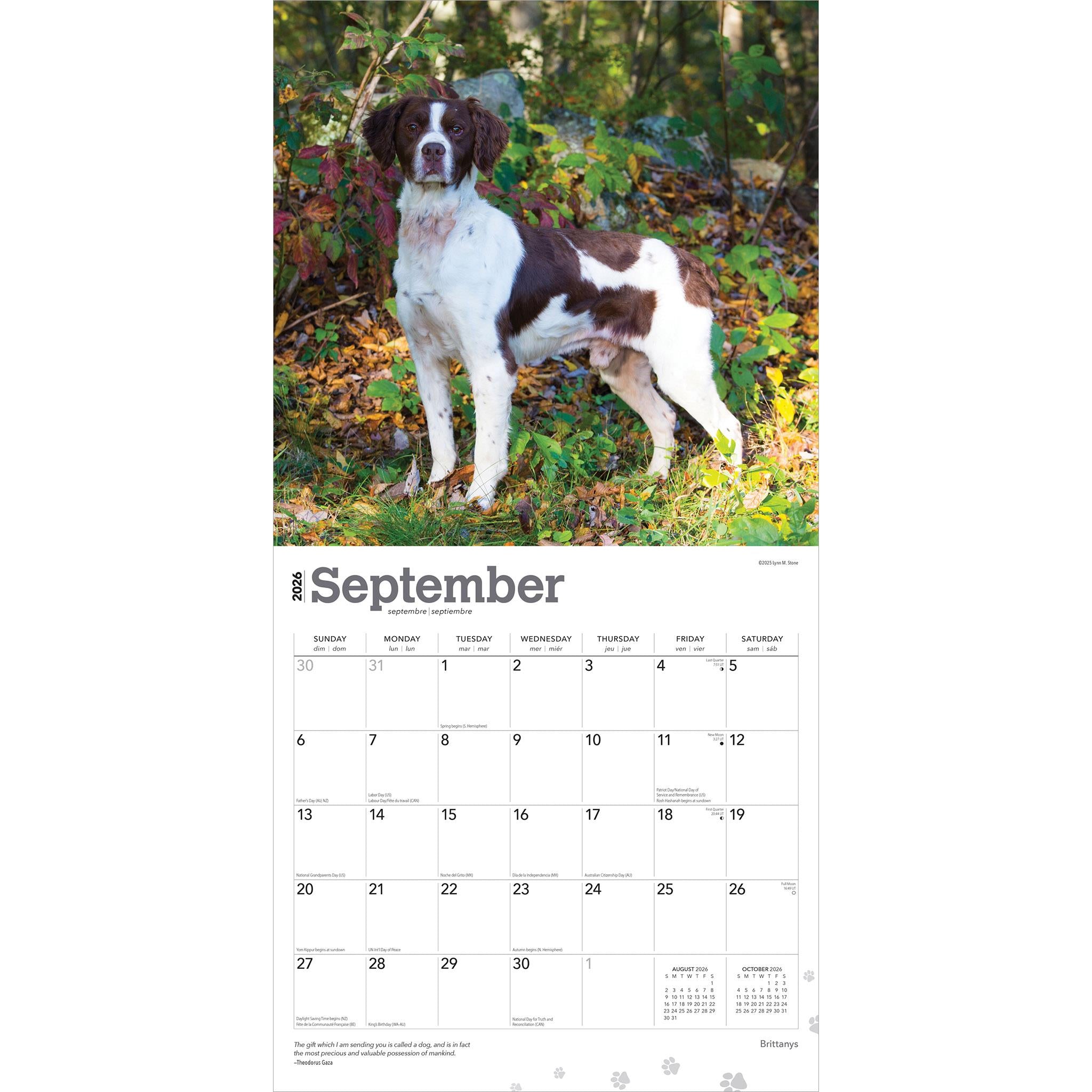 Brittanys 2026 Wall Calendar - Online Only