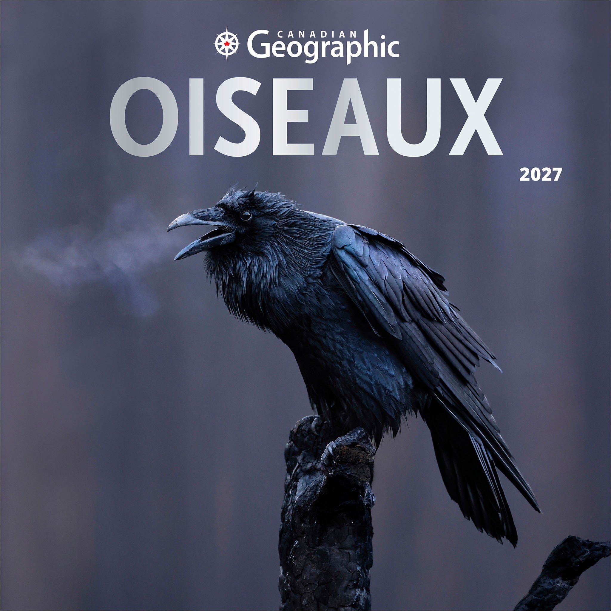 Canadian Geographic Oiseaux 2027 Wall Calendar (French)