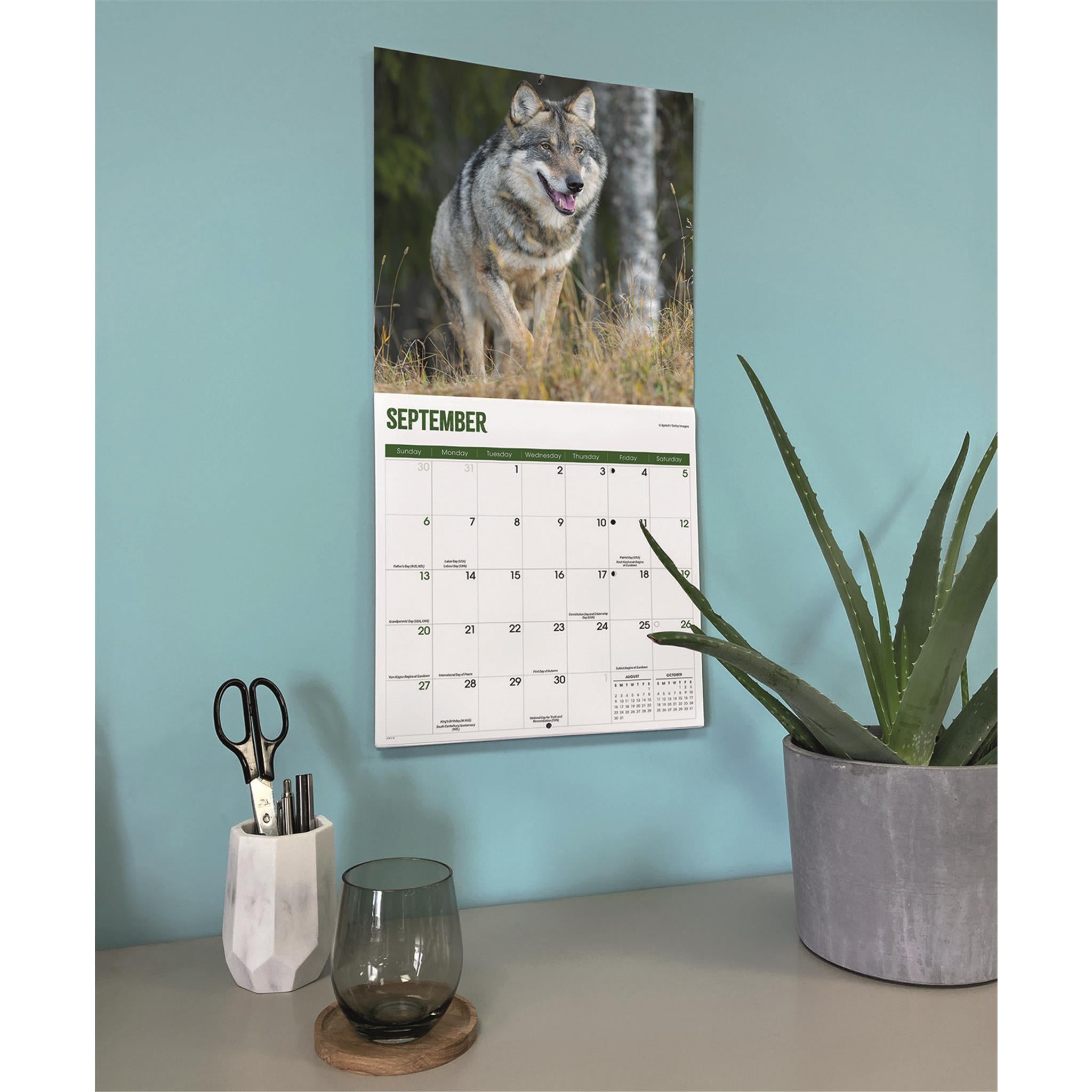 Wolves 2026 Wall Calendar