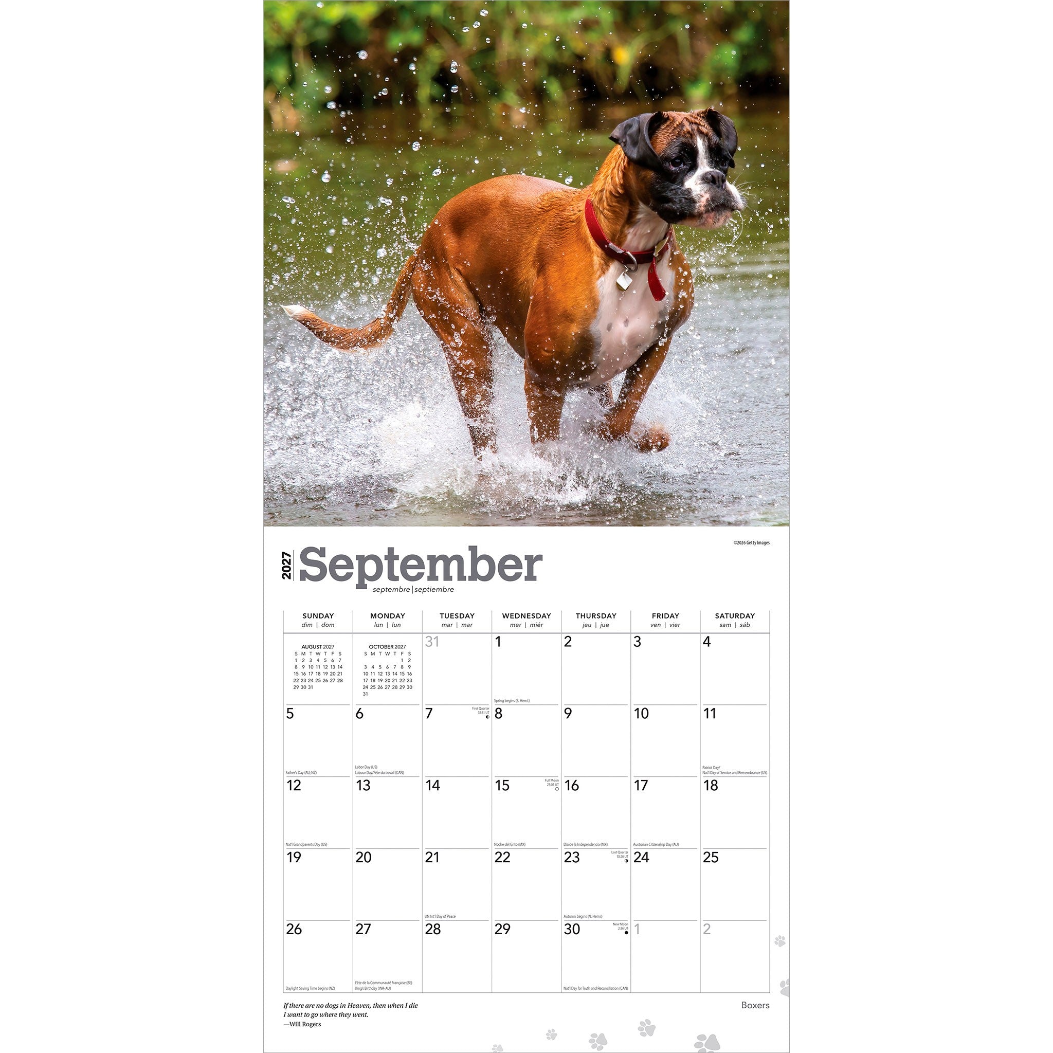 Boxers International 2027 Wall Calendar