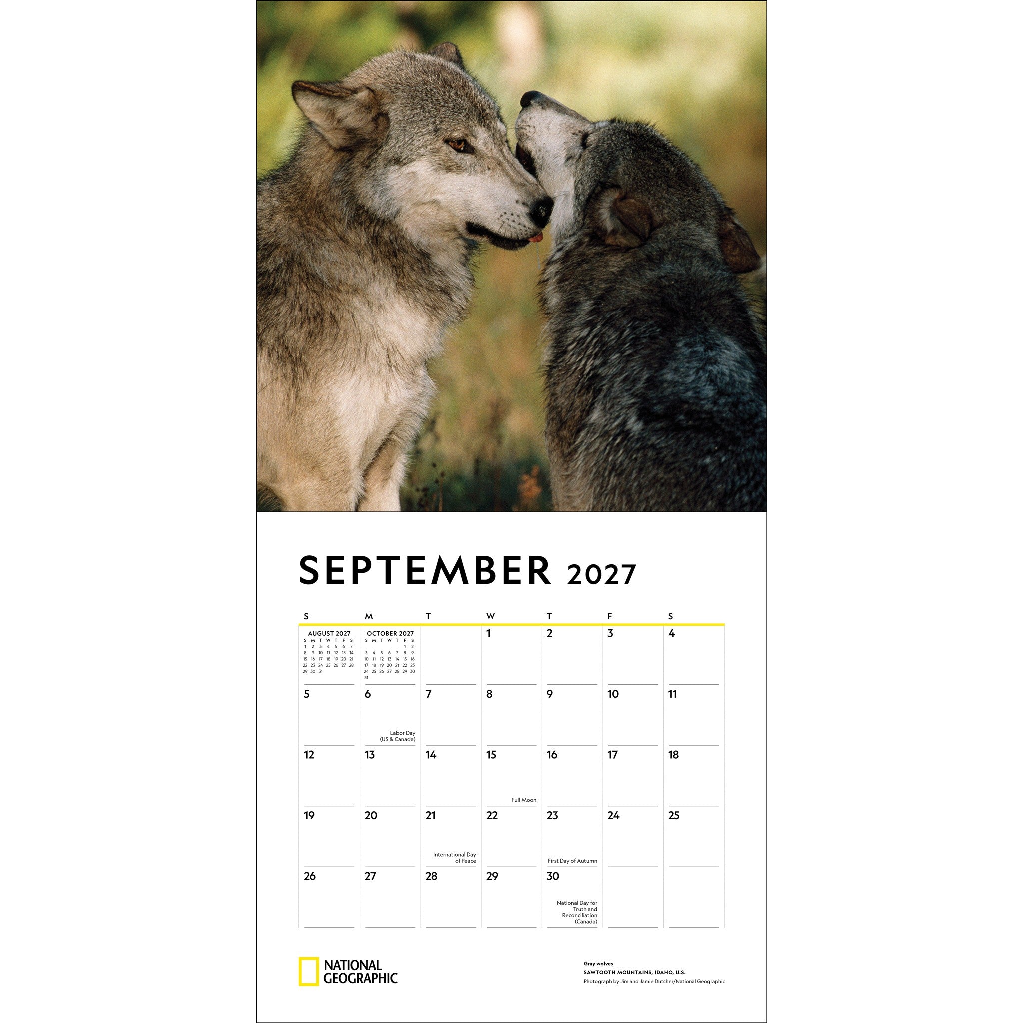 National Geographic: Wolves 2027 Wall Calendar