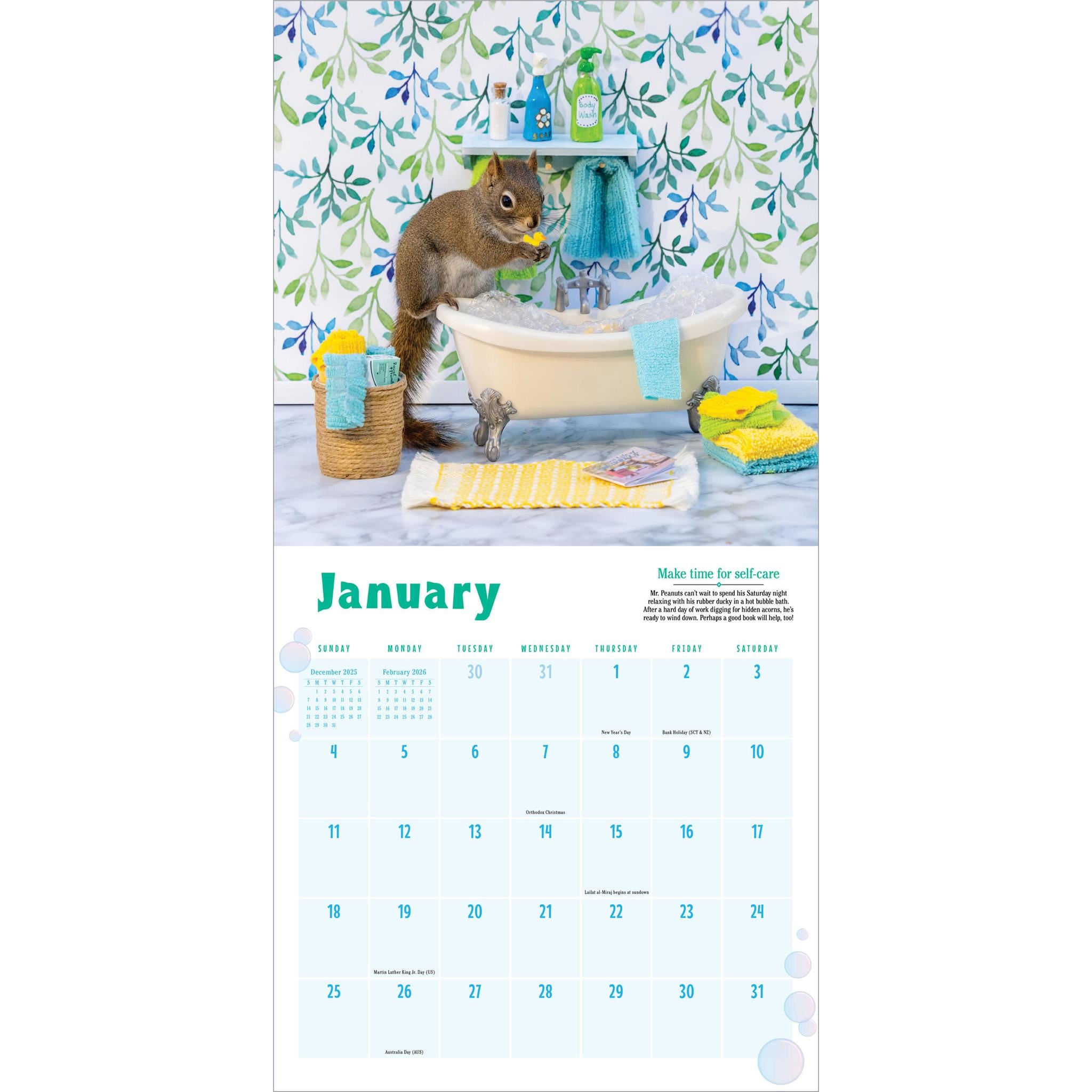 Secret Life Of Squirrels 2026 Wall Calendar