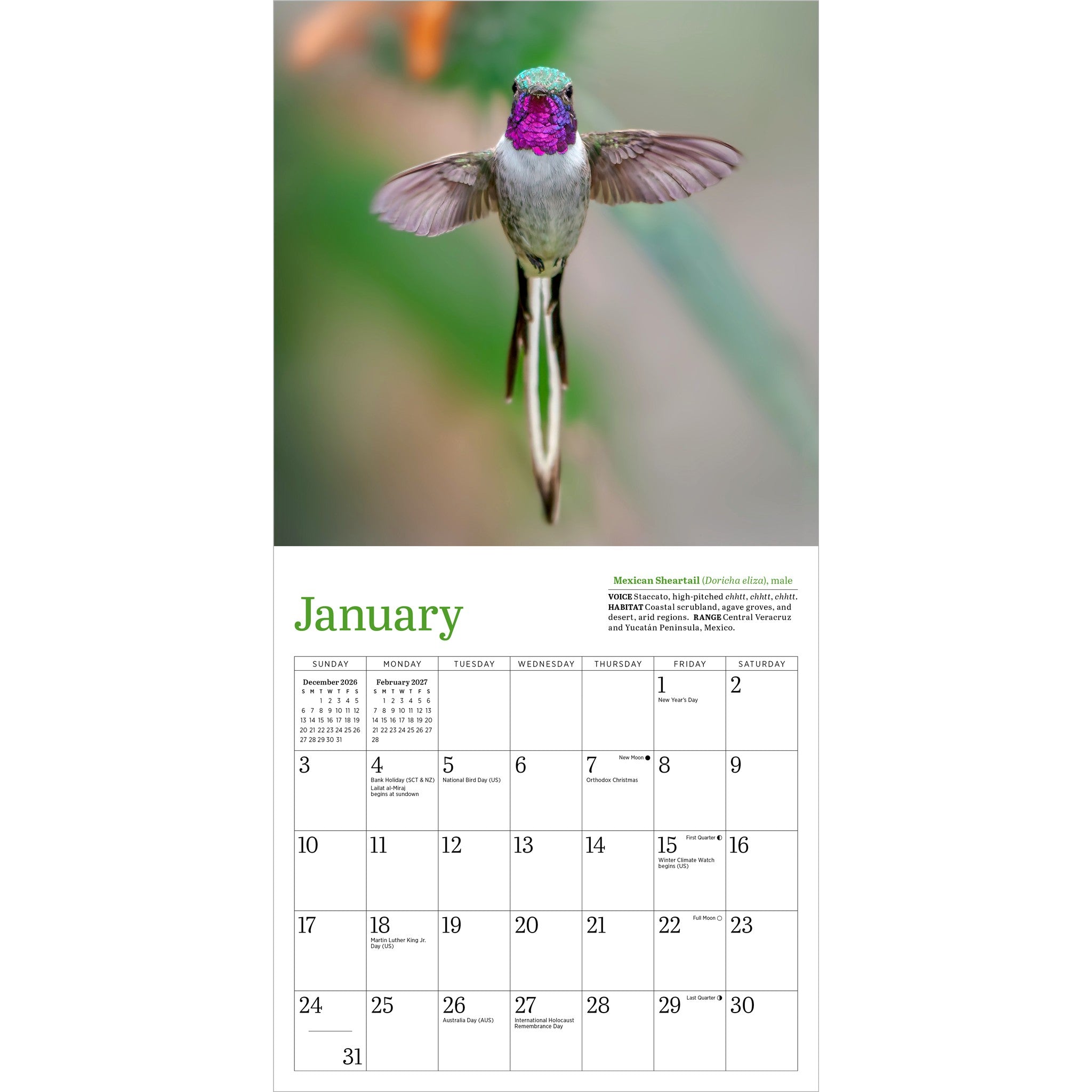 Audubon Hummingbirds 2027 Mini Calendar - Online Only