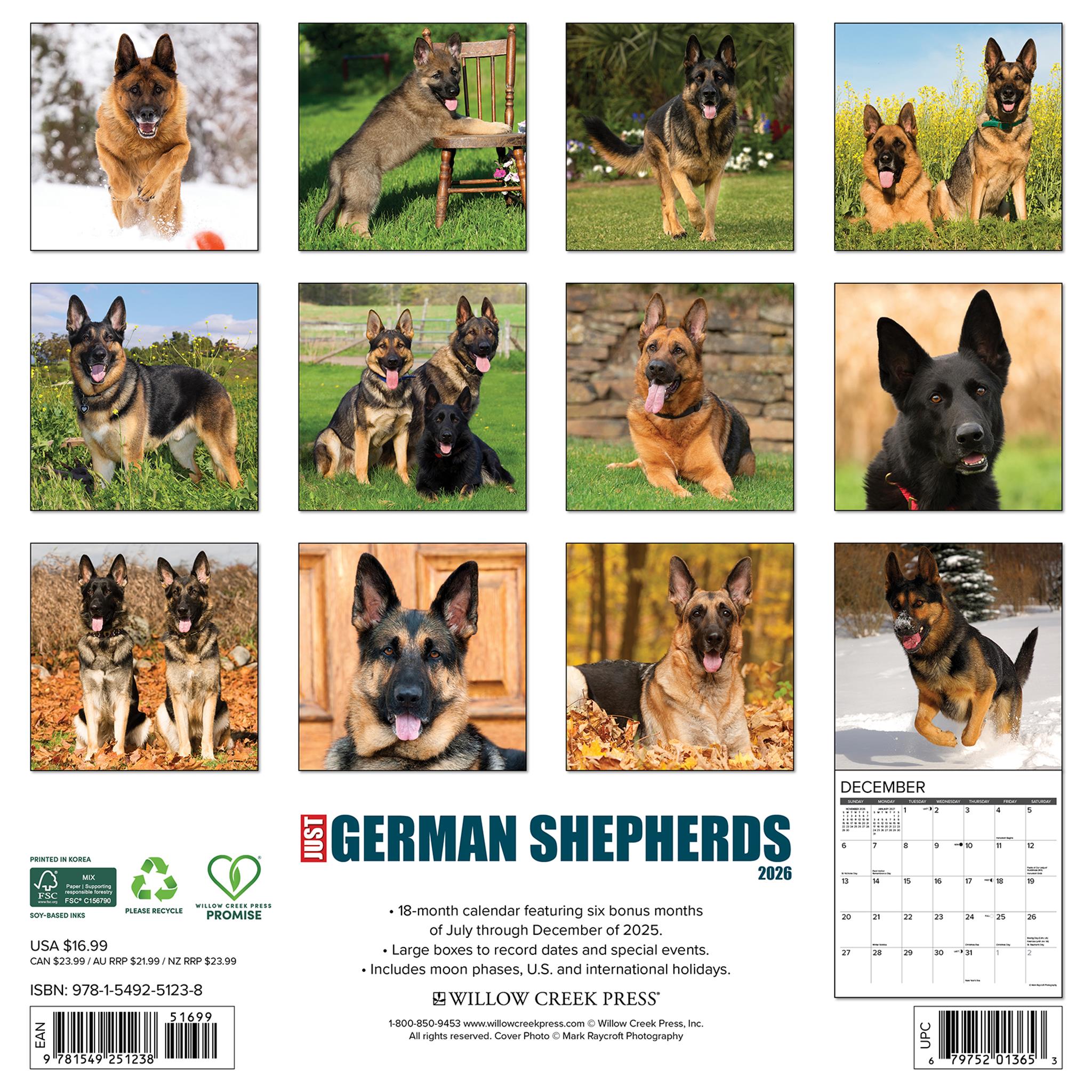 Calendrier mural 2026 Just German Shepherds